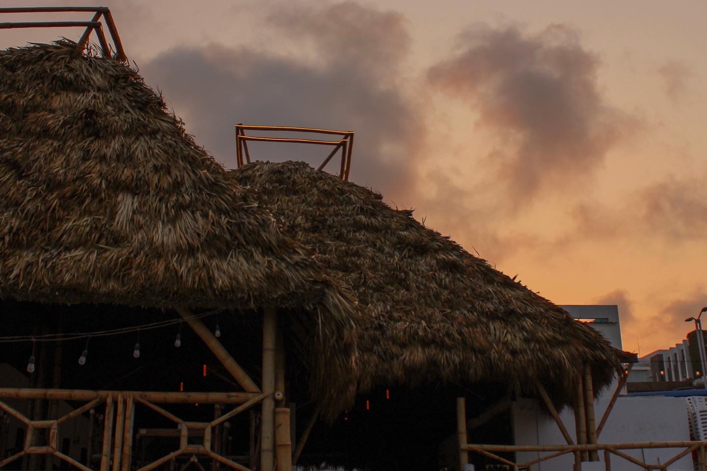 Bokobá Restaurant & Bar image 3