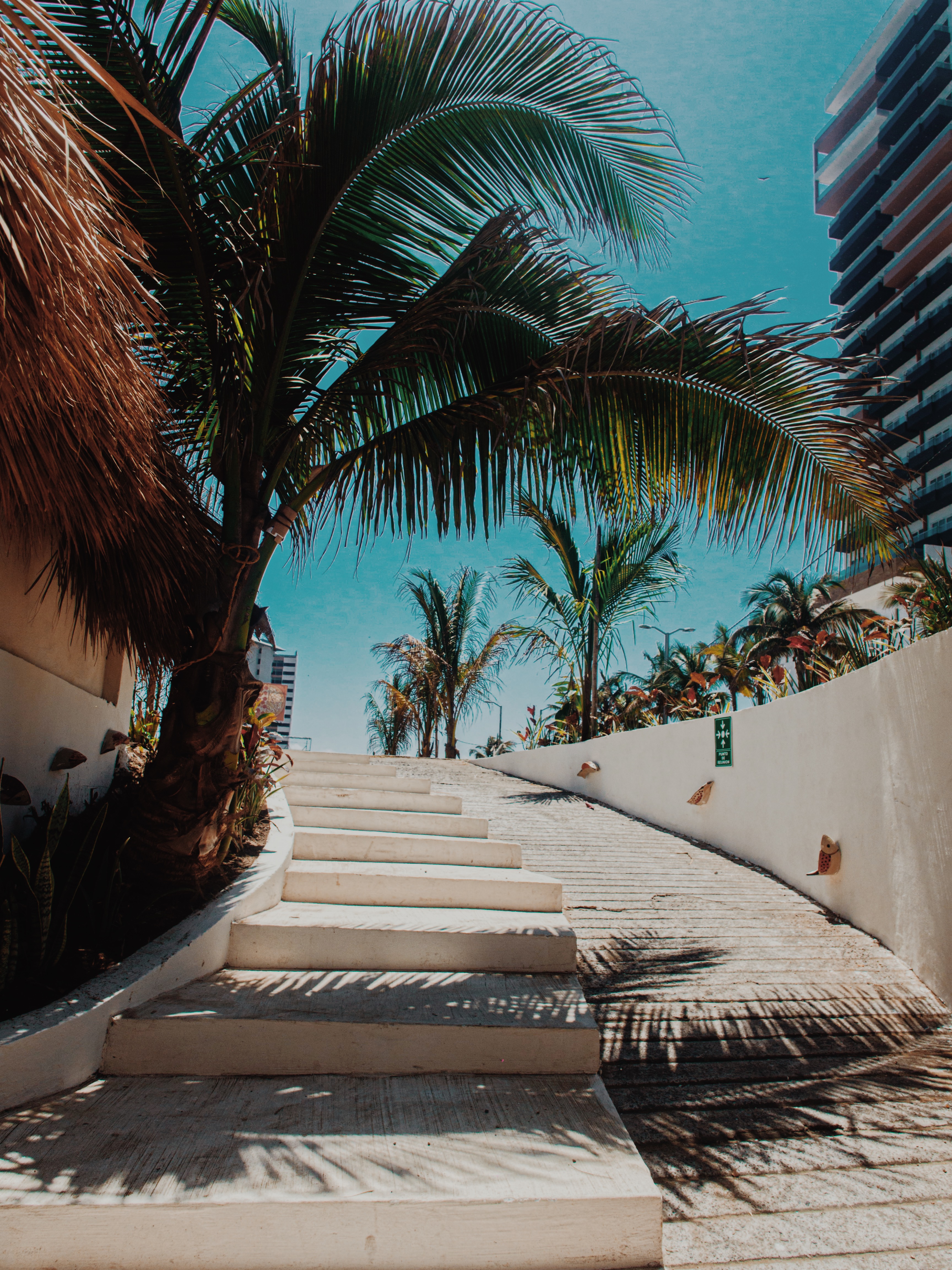 Bokobá Restaurant & Bar image 5