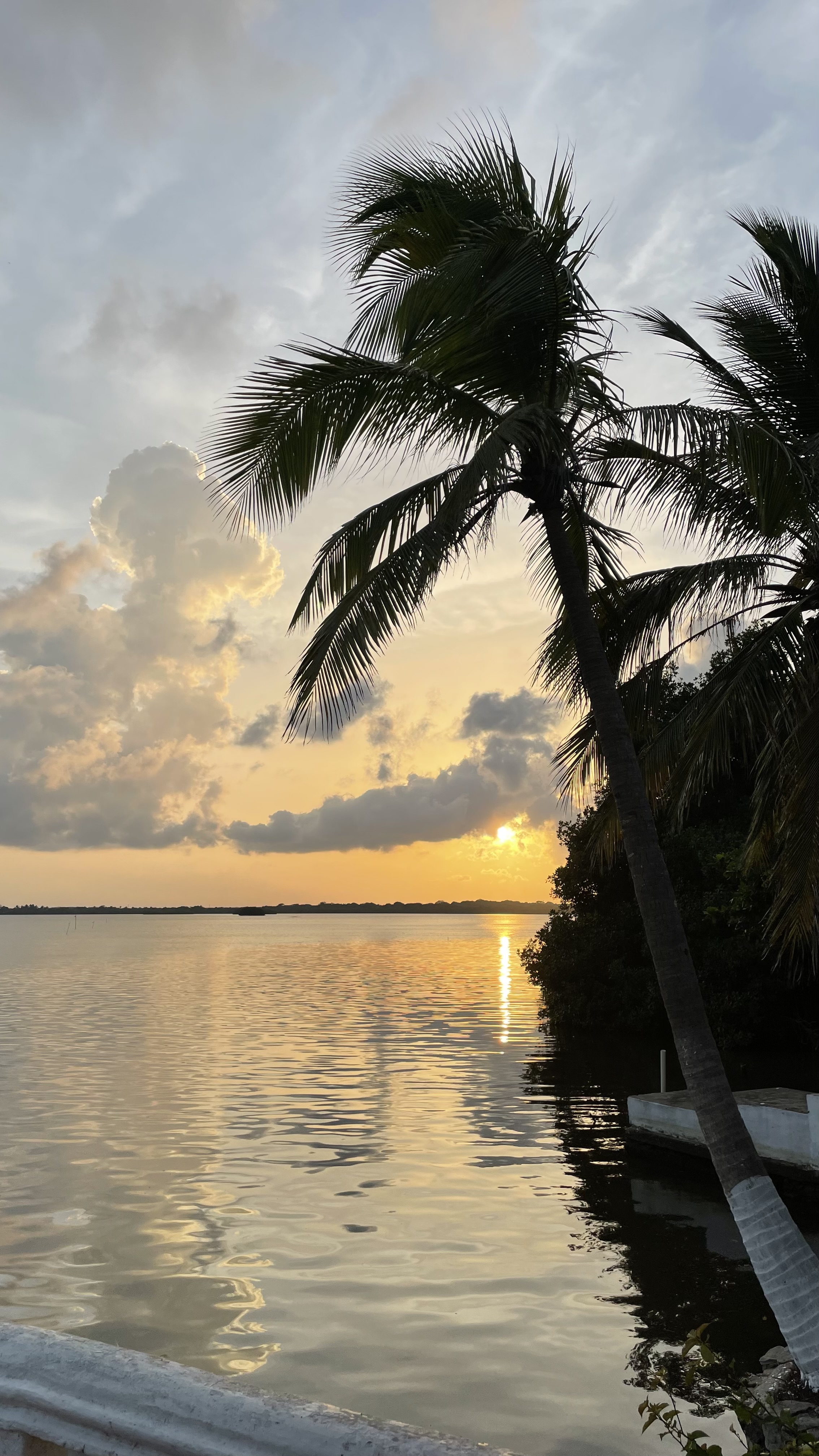 El Paisa Mariscos image 7