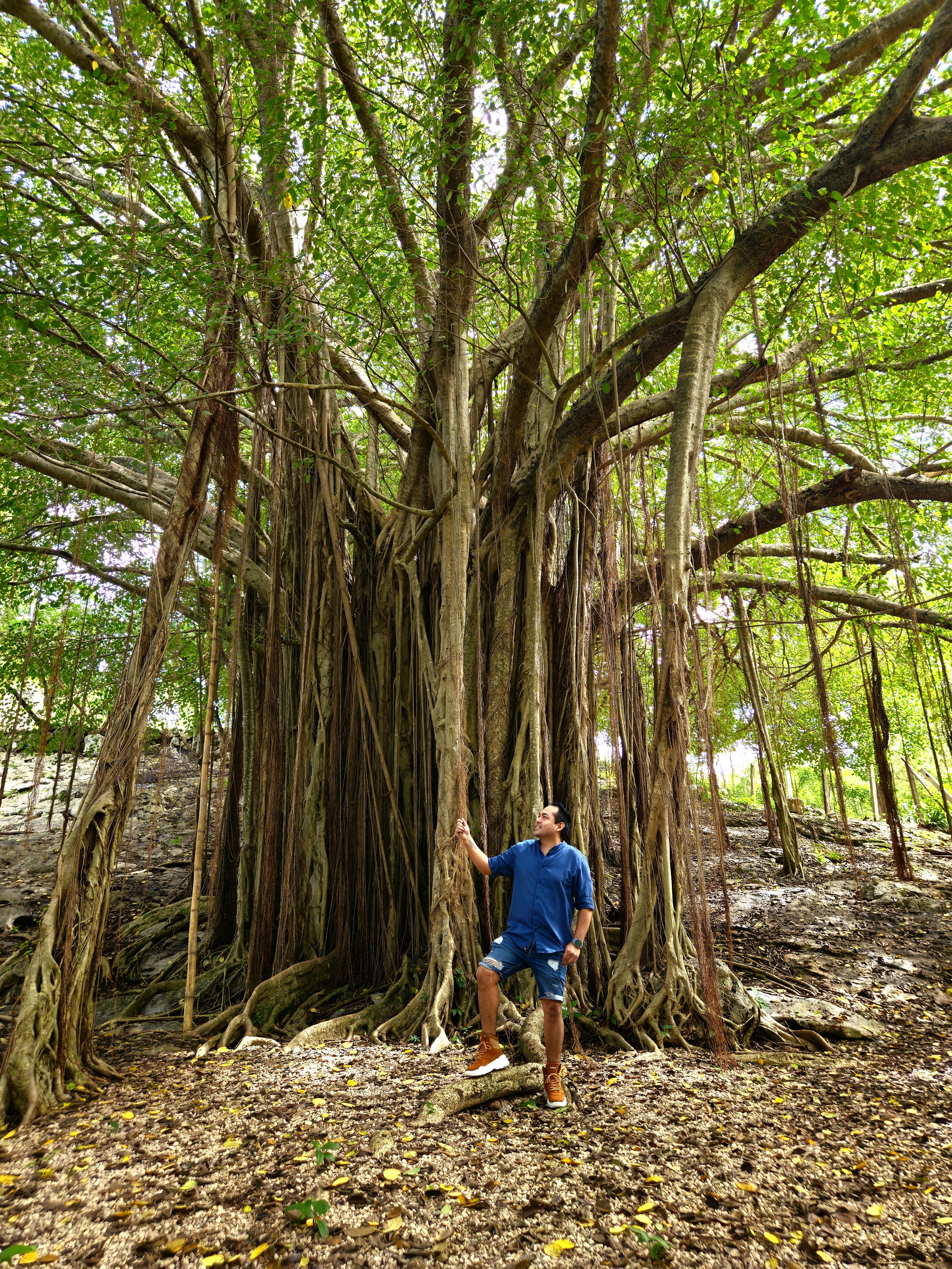 Gorditas Puyul Chiná image 8