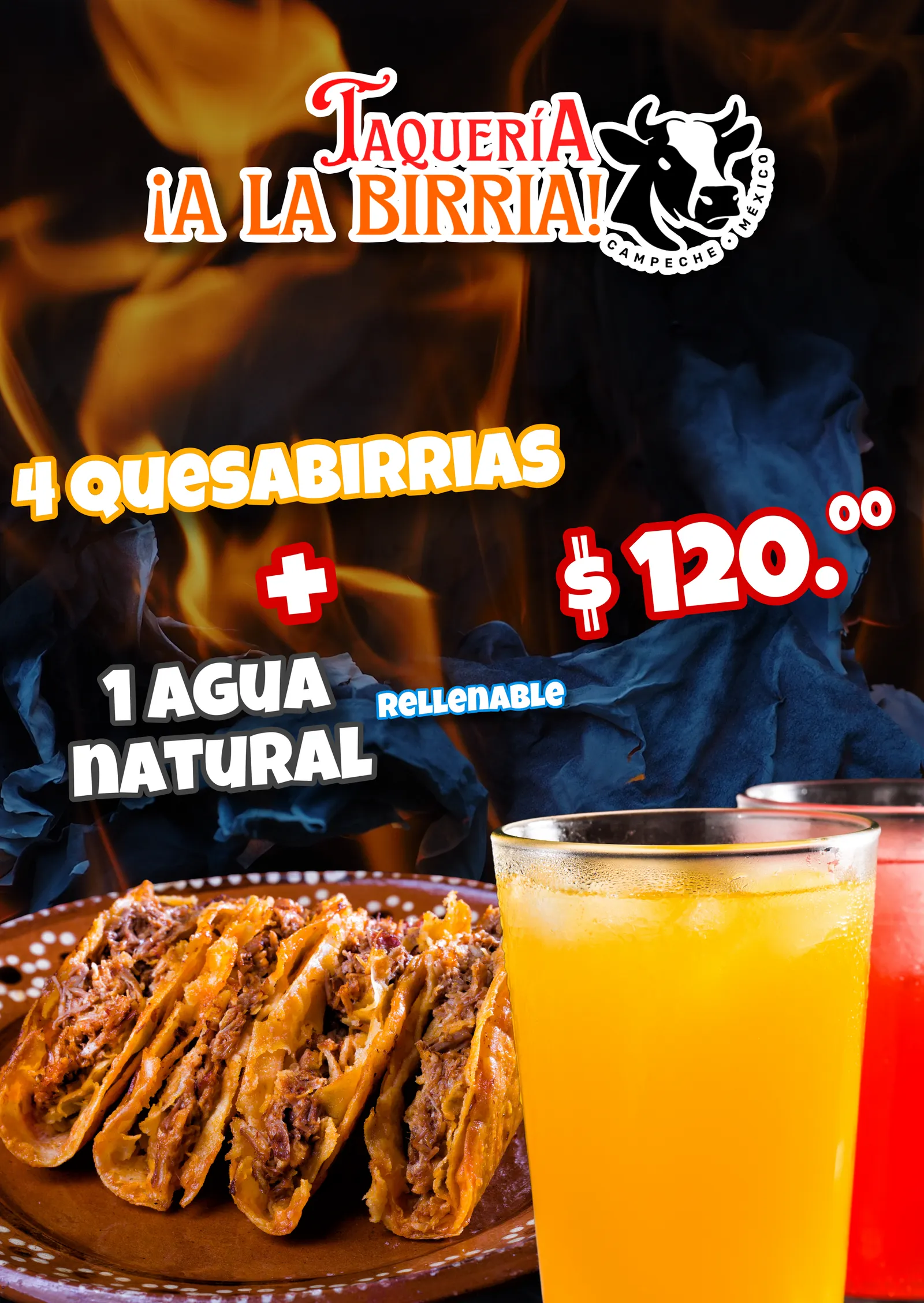 A la birria image 7