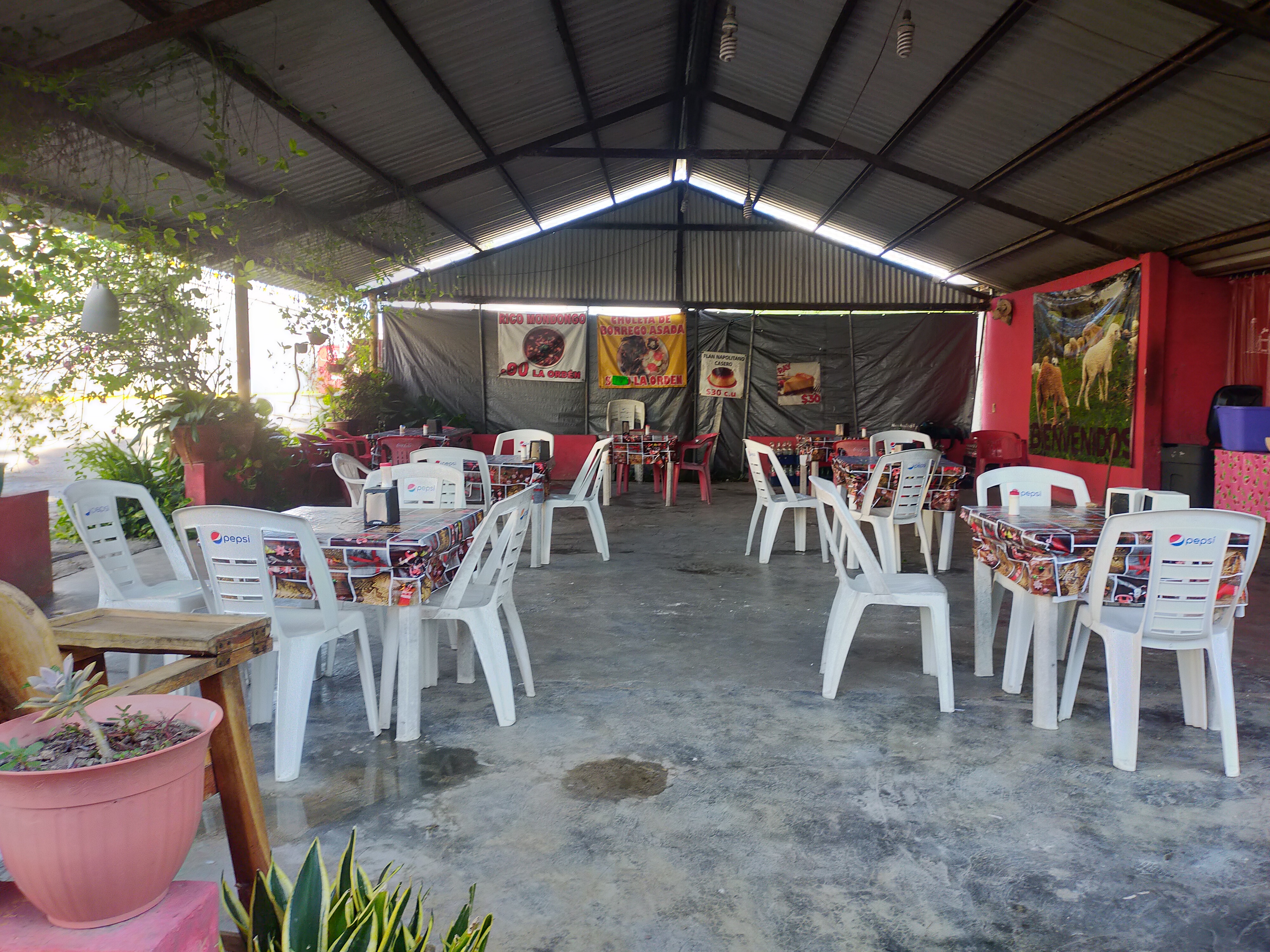 El Borregaso image 1