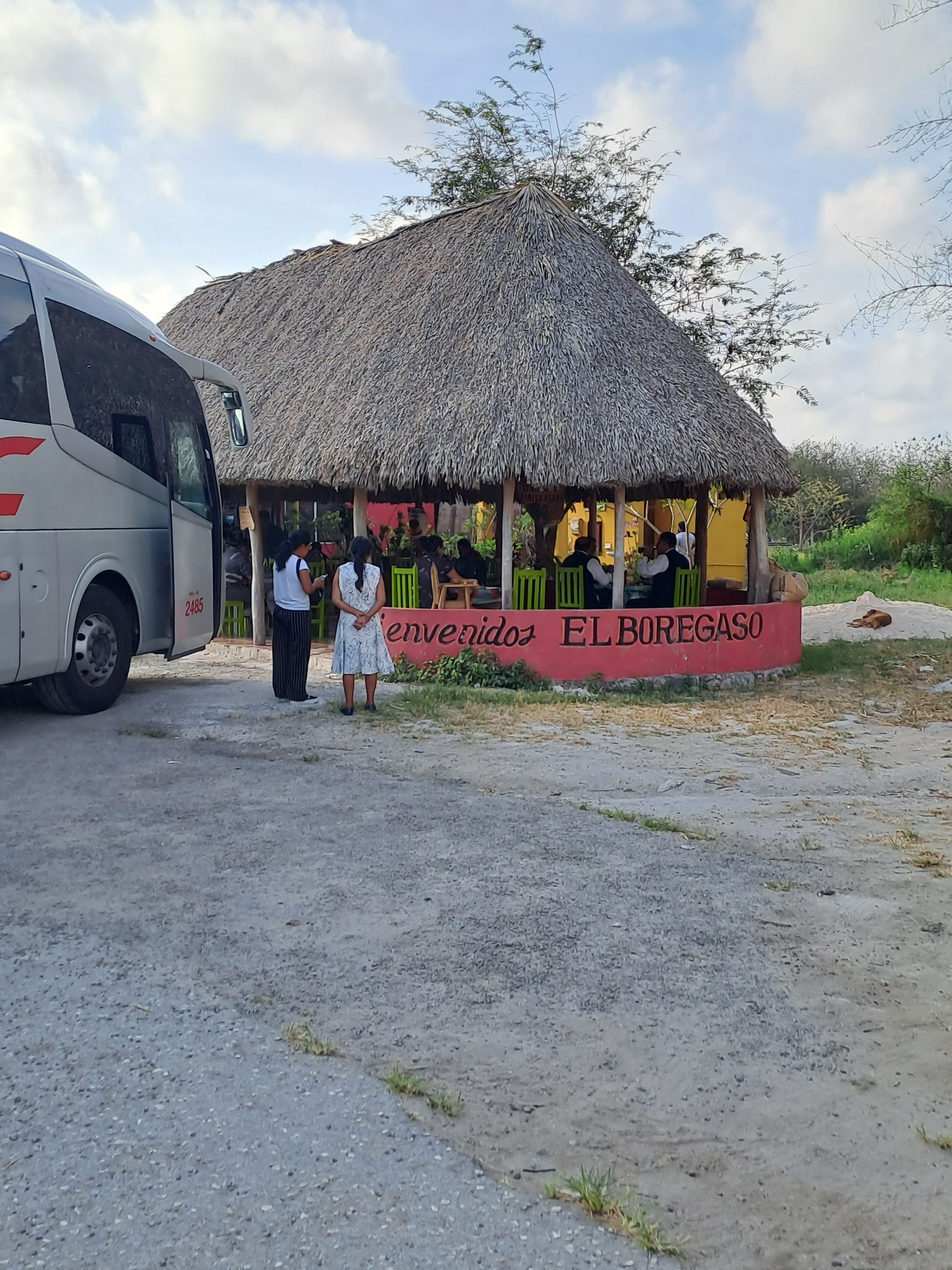 El Borregaso image 3