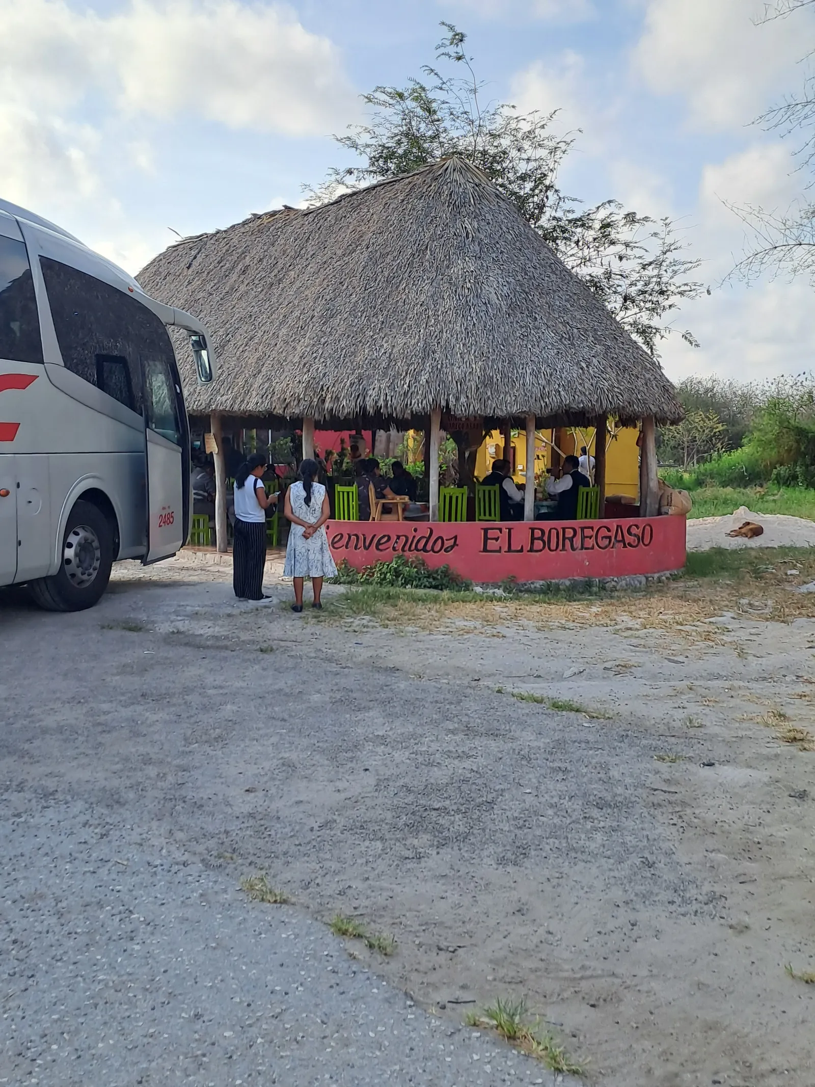 El Borregaso image 3