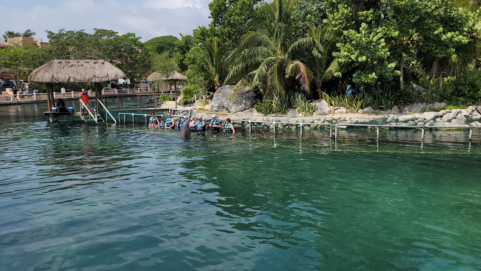 Nauti Burro image 7