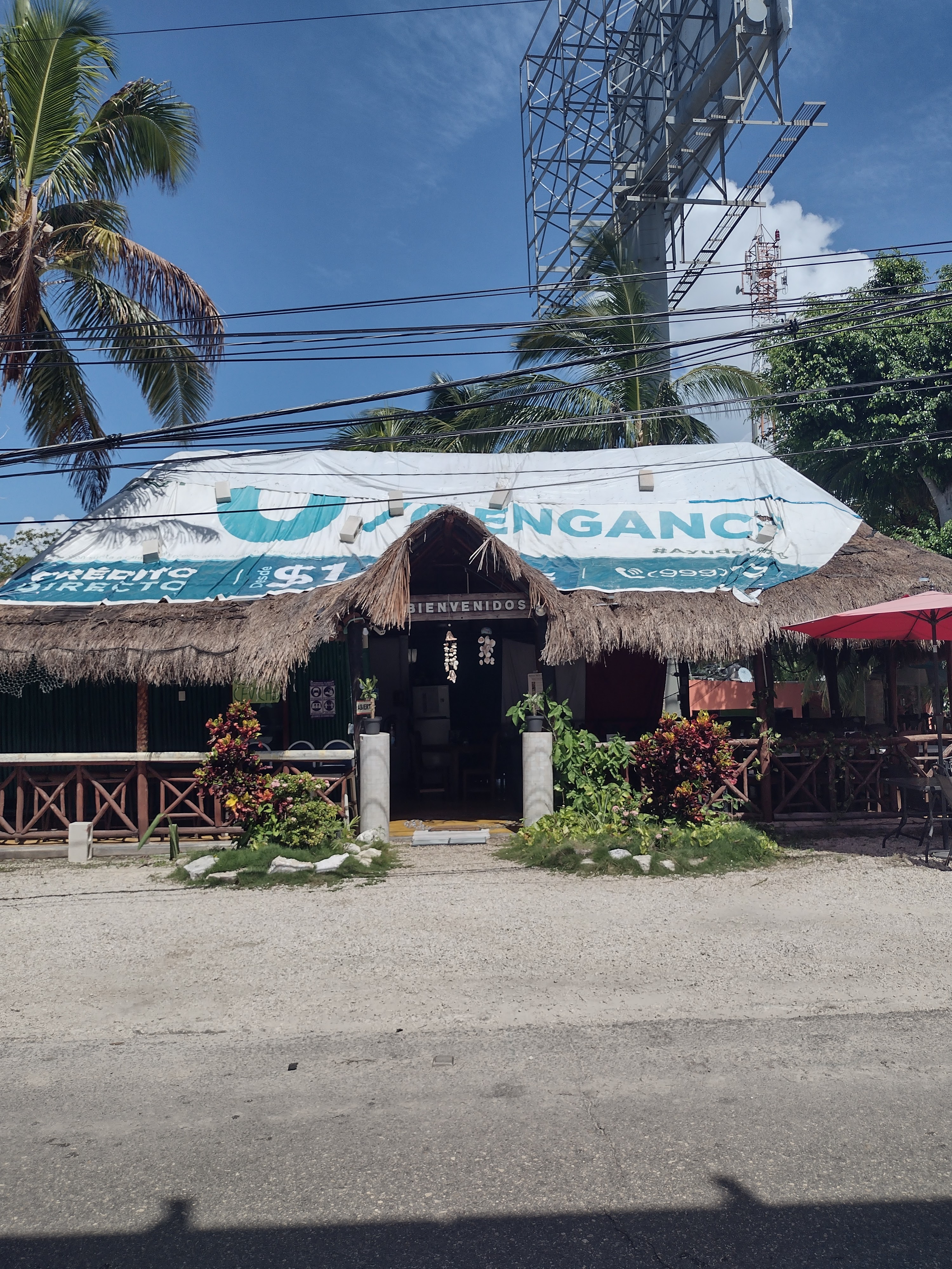 El Mero Mero image 1