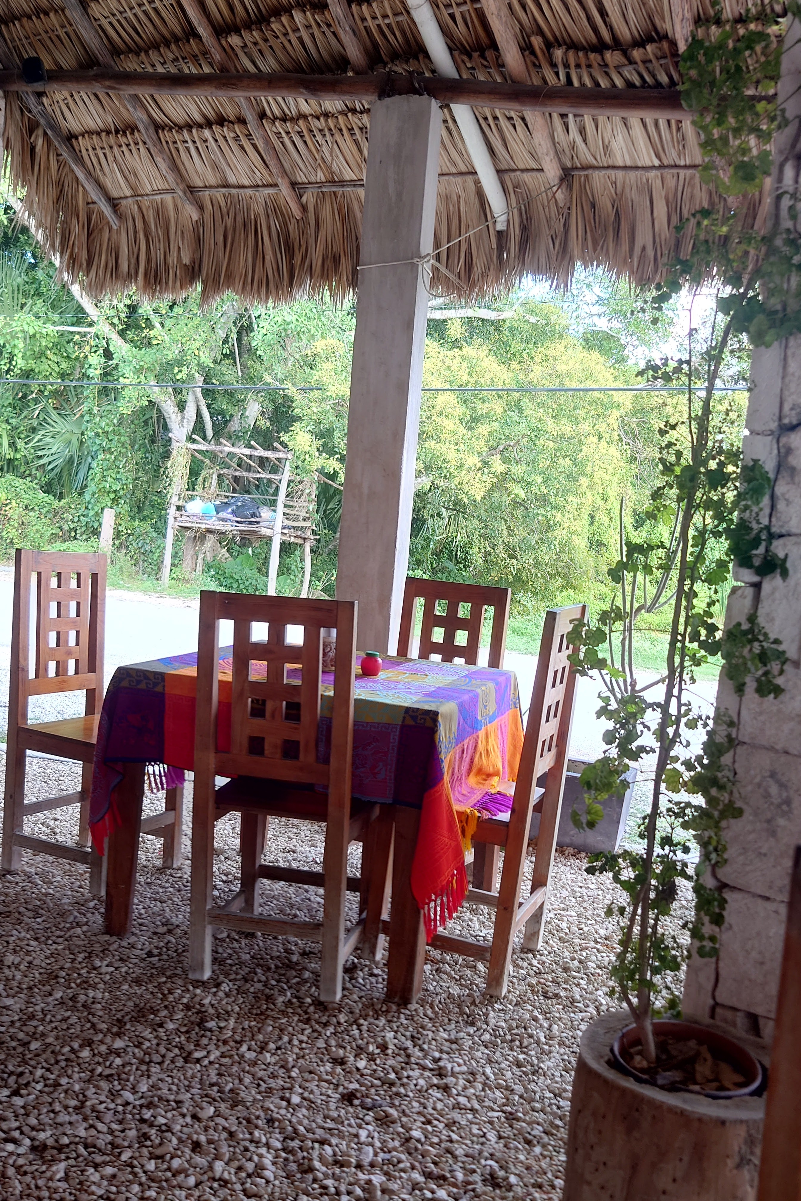 El Cocodrilo image 1