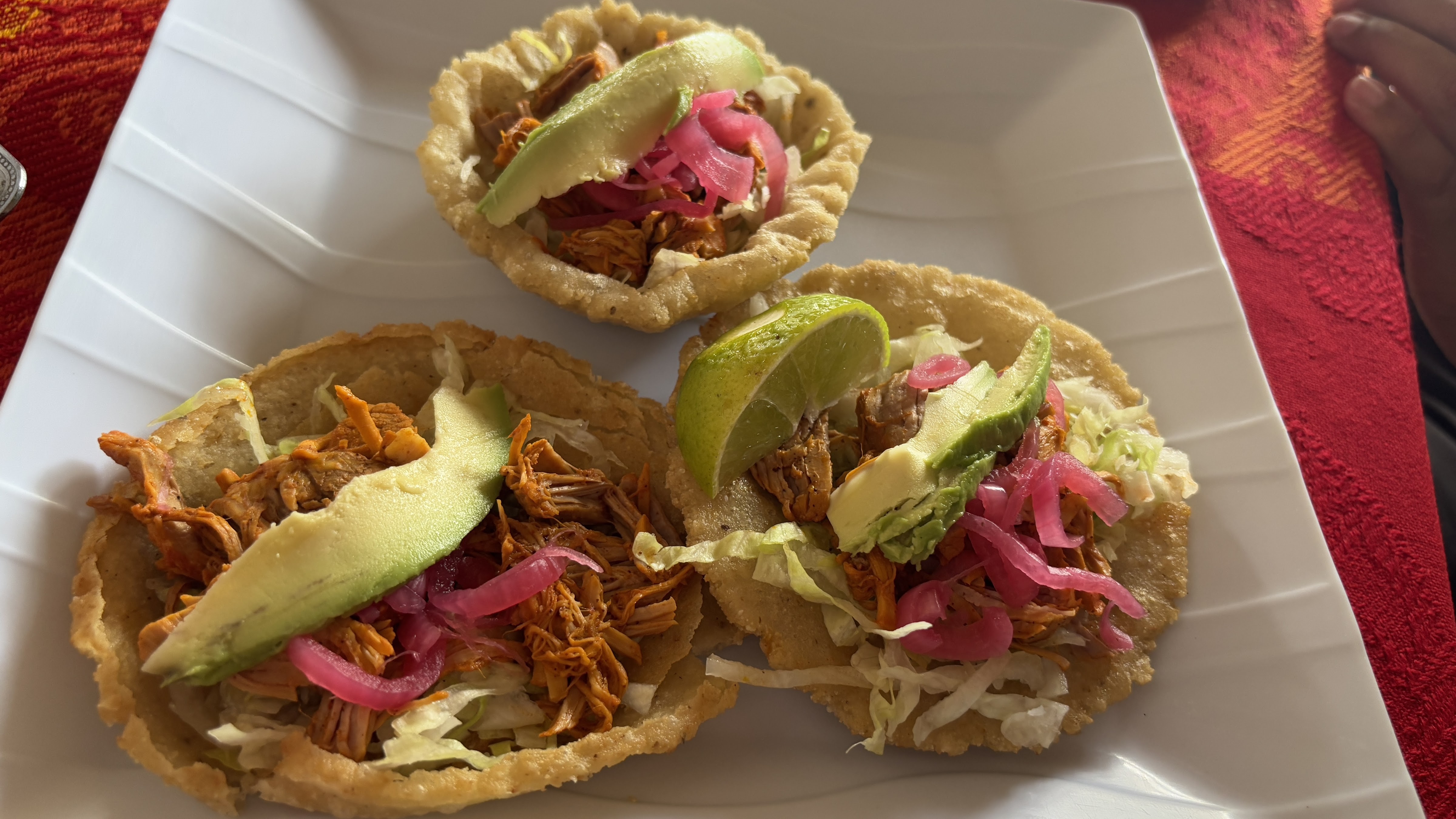 El Cocodrilo image 2