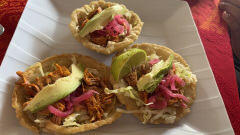 El Cocodrilo image 2