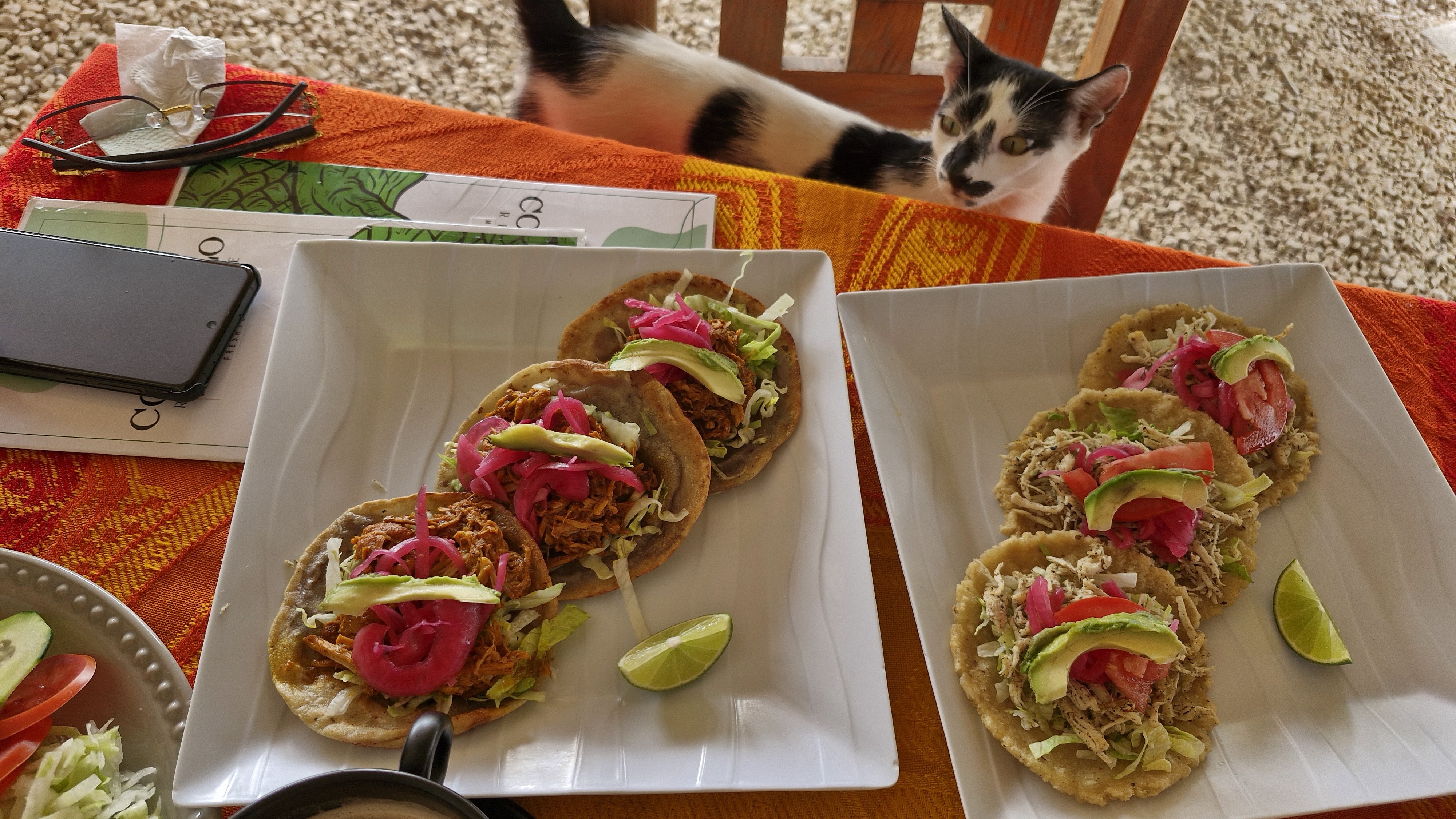 El Cocodrilo image 3