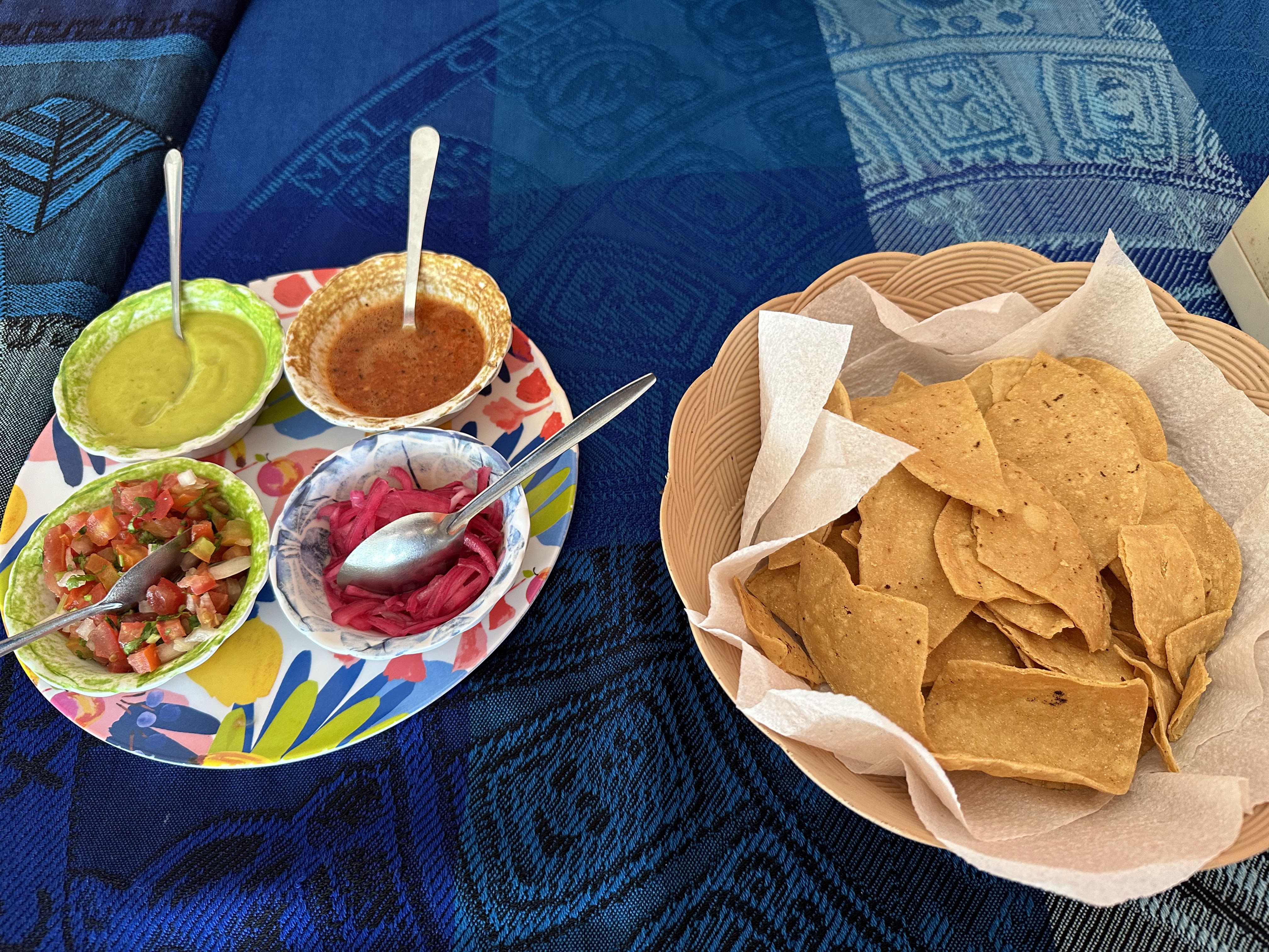 El Cocodrilo image 4