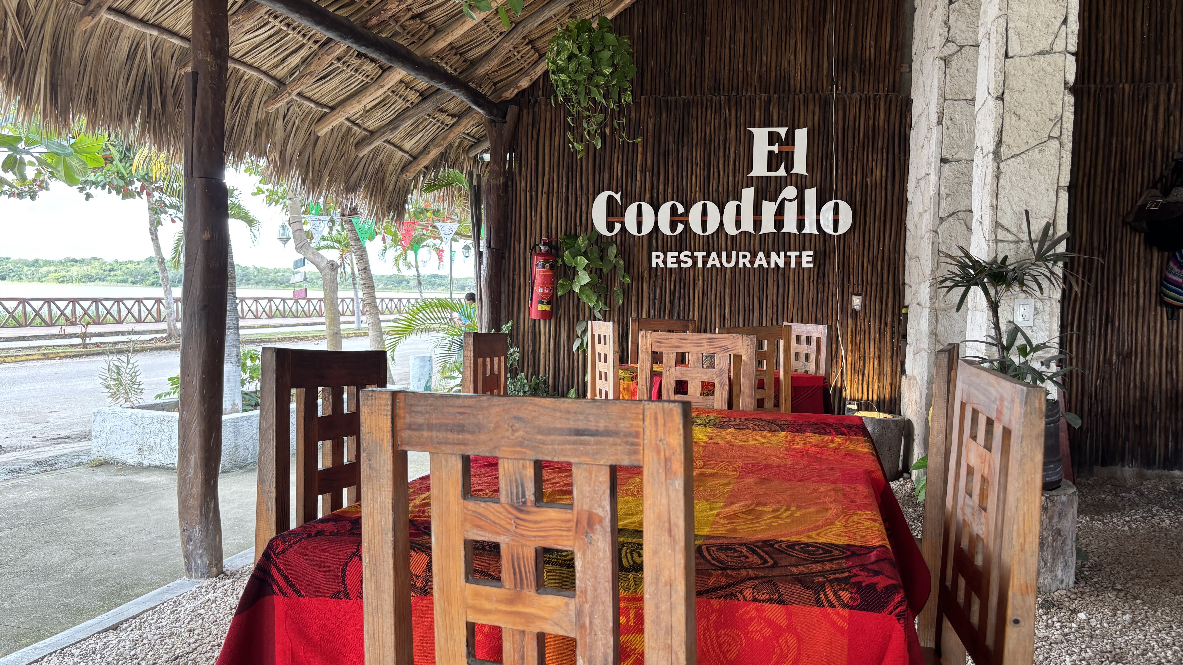 El Cocodrilo image 7