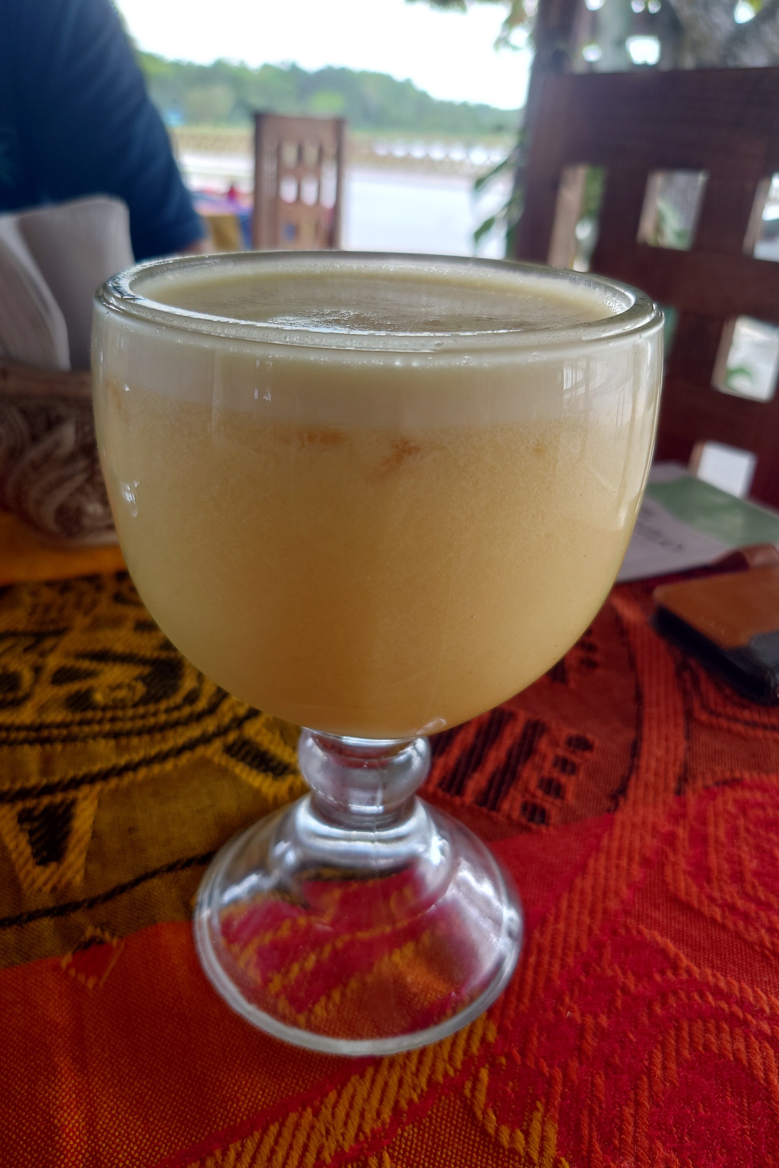 El Cocodrilo image 9