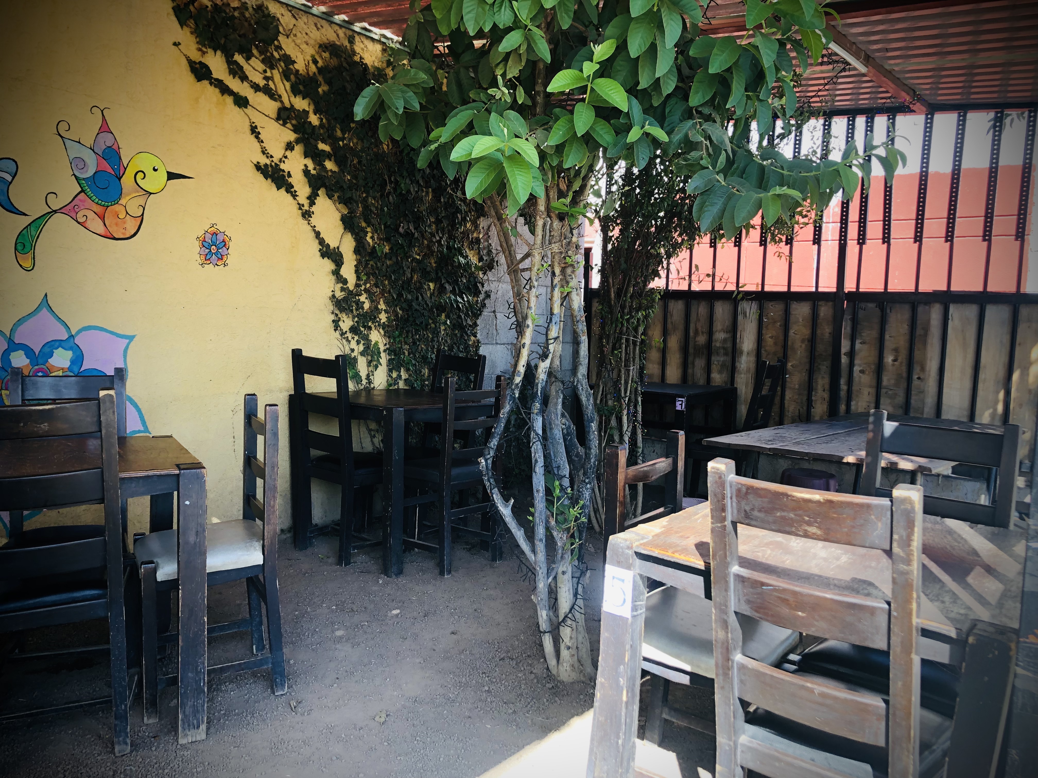 Zangano Restaurante image 10