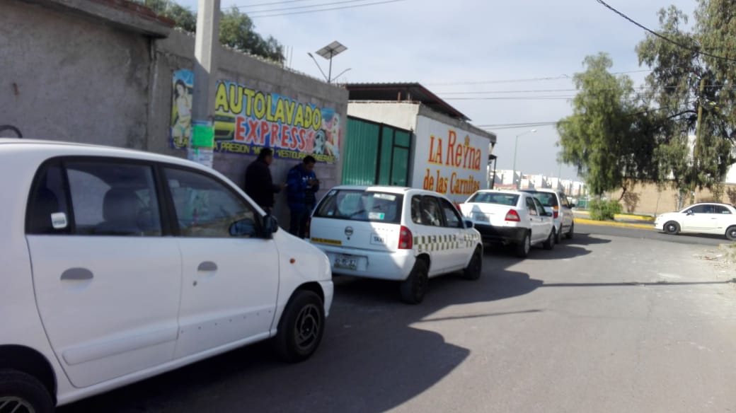 "La Reina de las carnitas" image 6