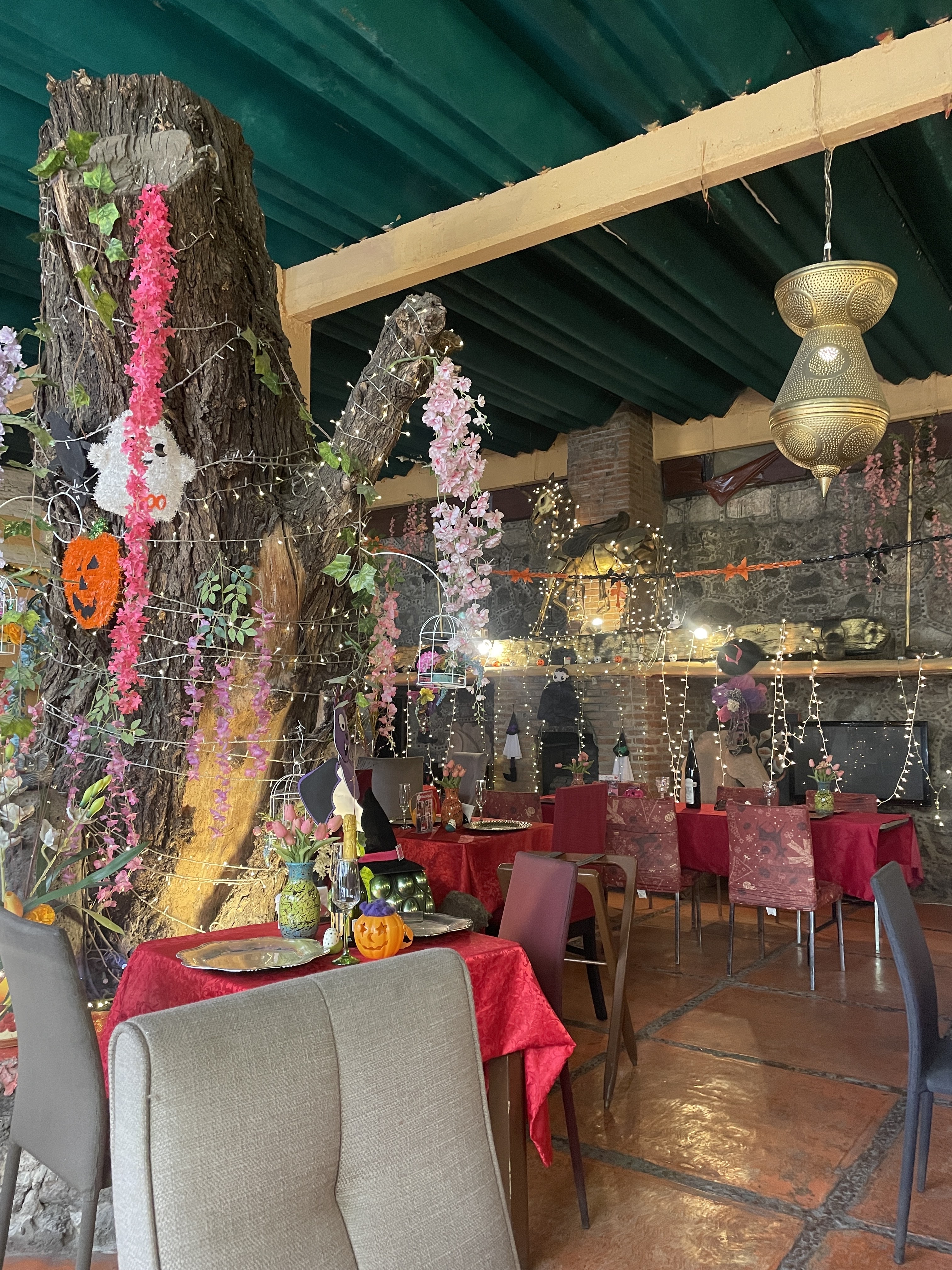 Restaurante "El Sol De Mayo" image 3