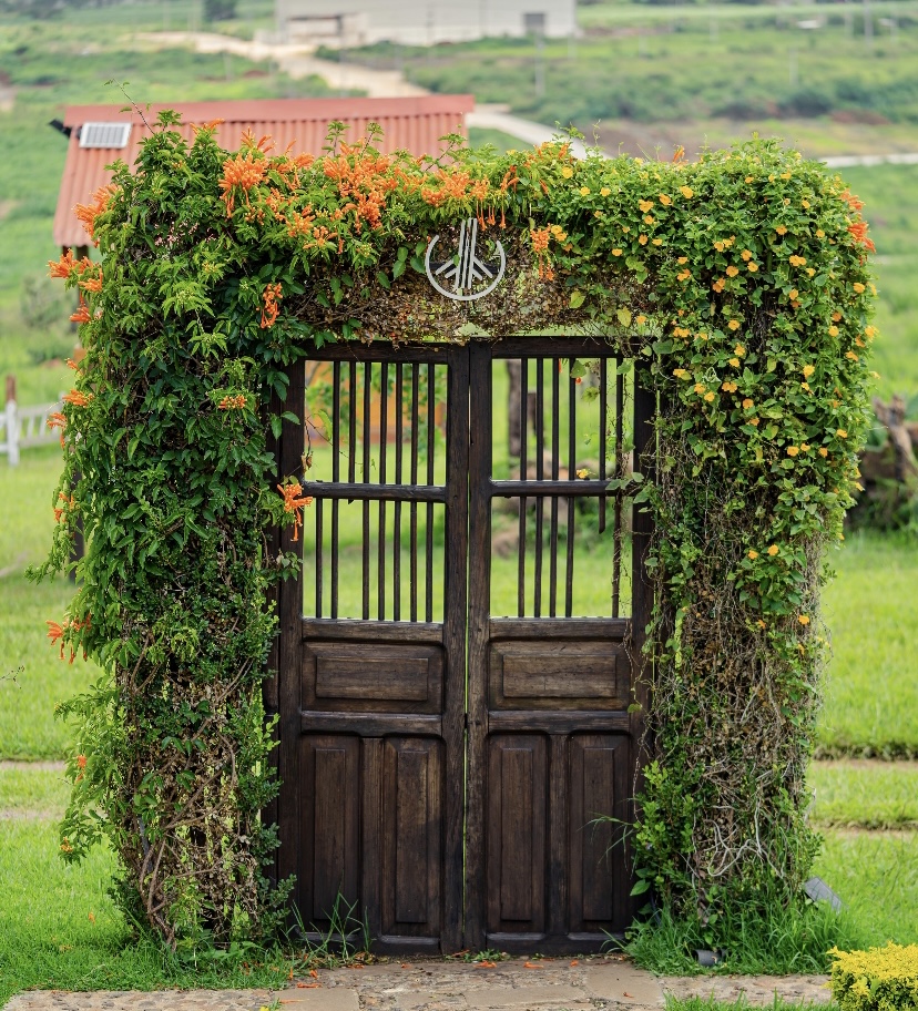 LA PUERTA RESTAURANTE image 3