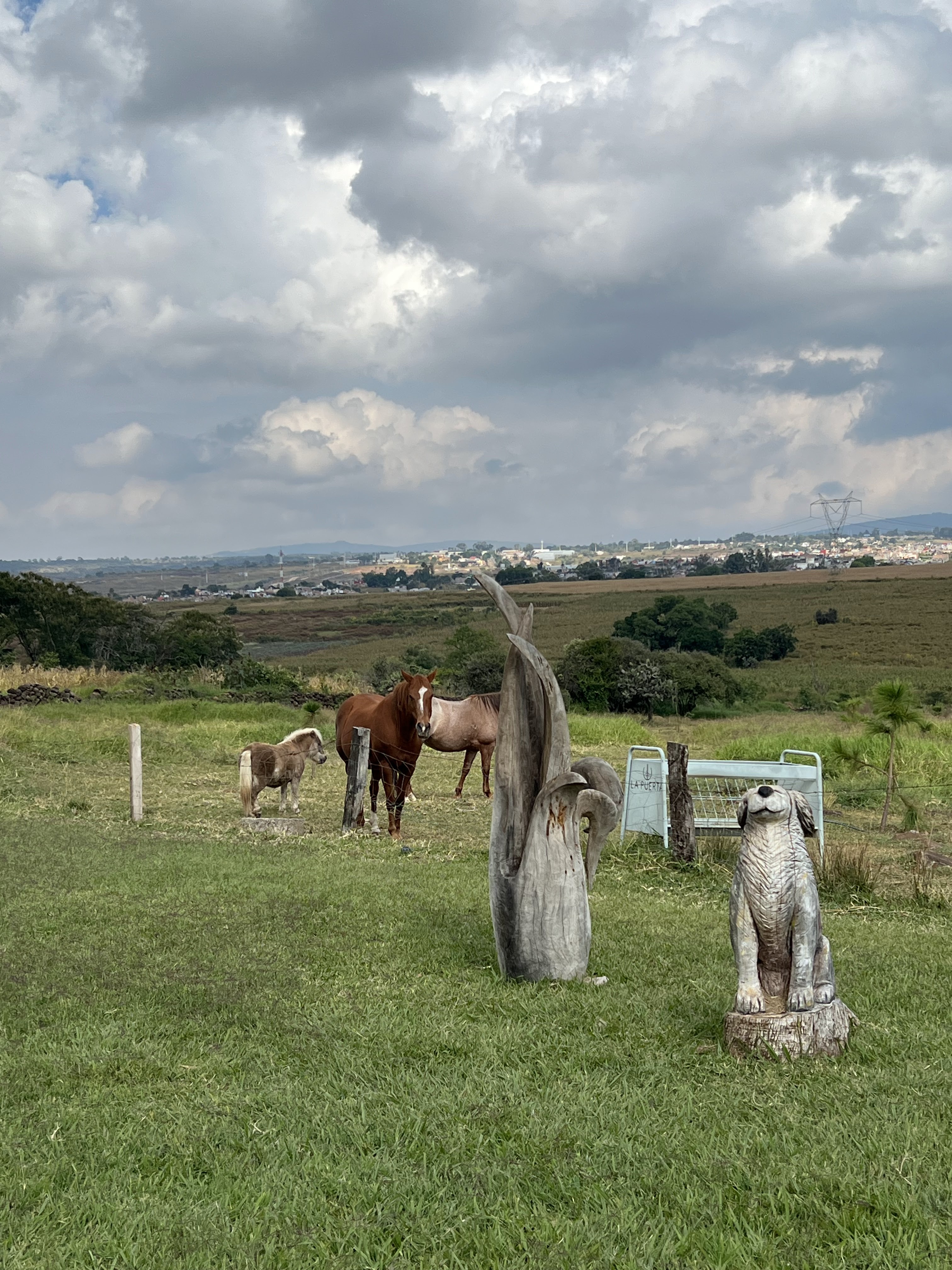 LA PUERTA RESTAURANTE image 6