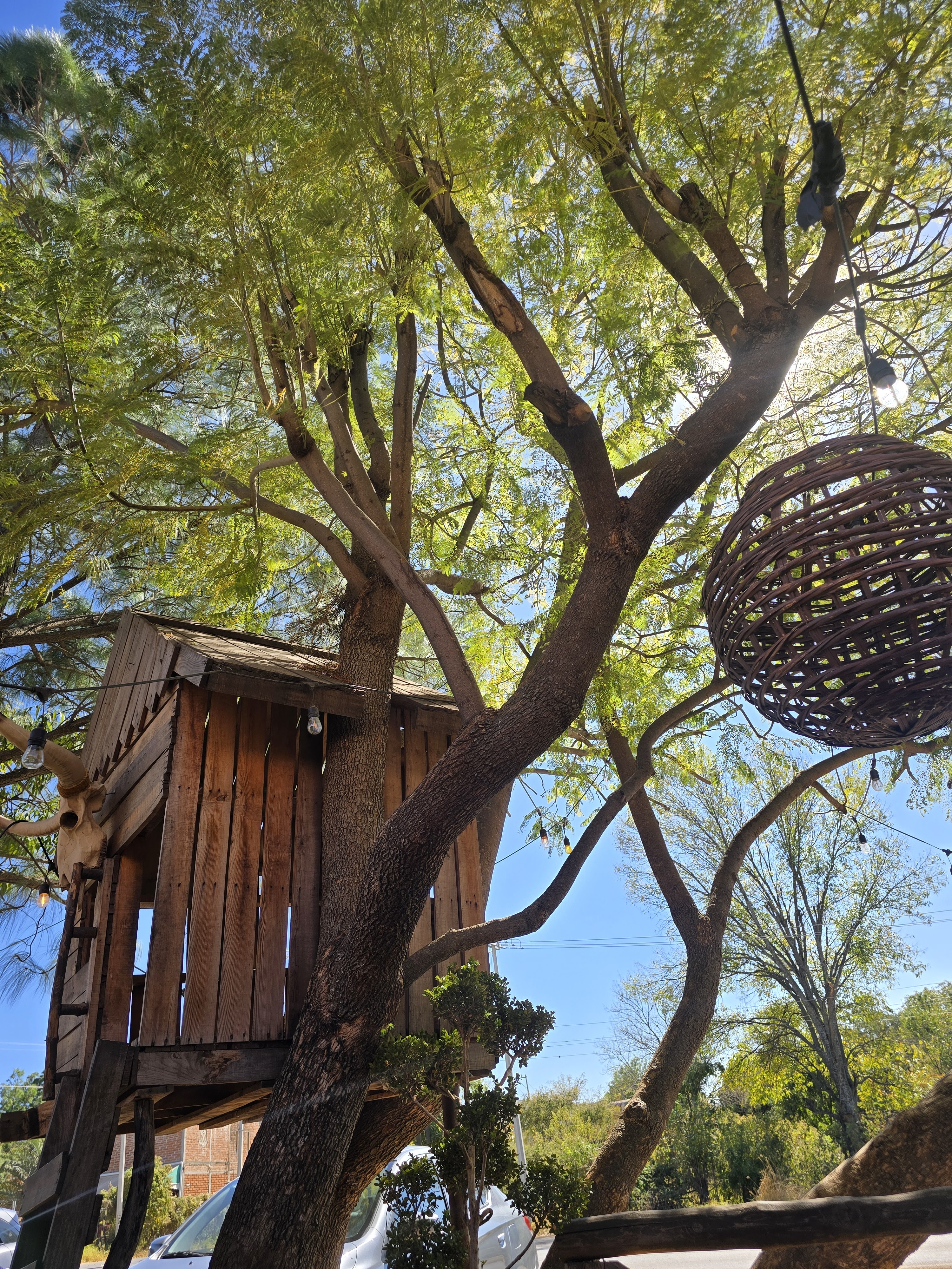 Pajaretes Restaurante bar image 7