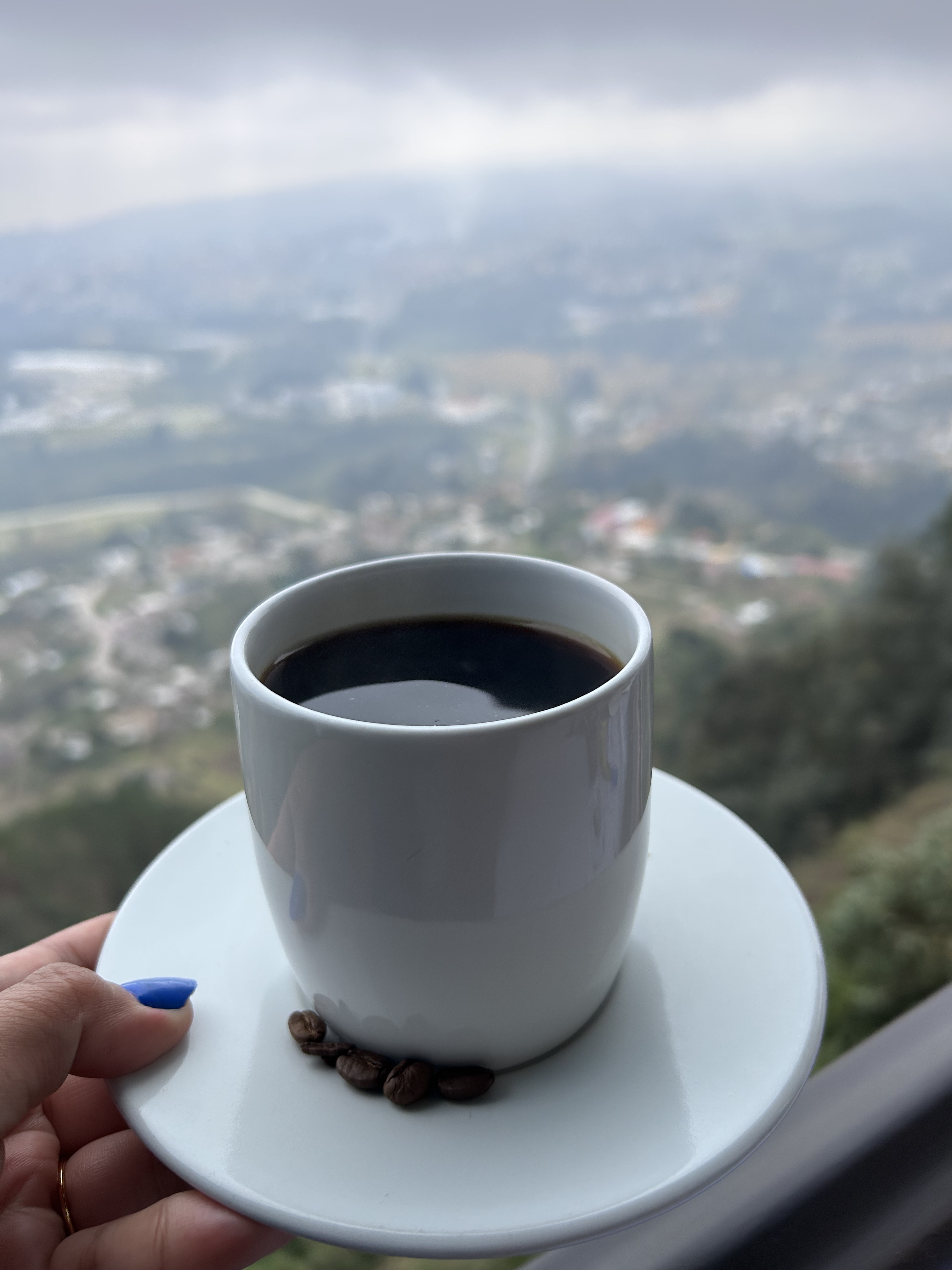 Cerquita Del Cielo image 6