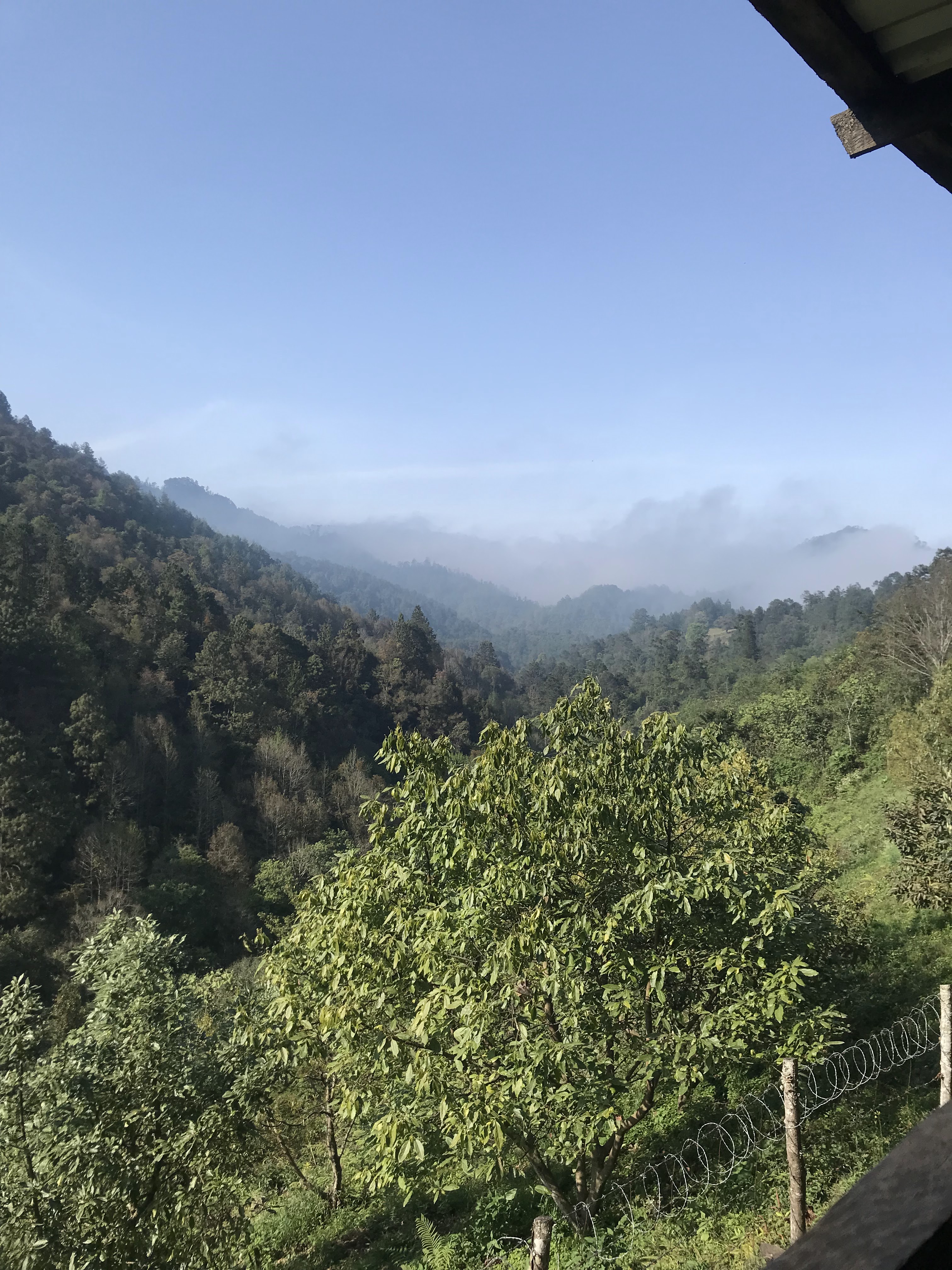 Truchas La Marquesa Cocina Teziuteca image 4