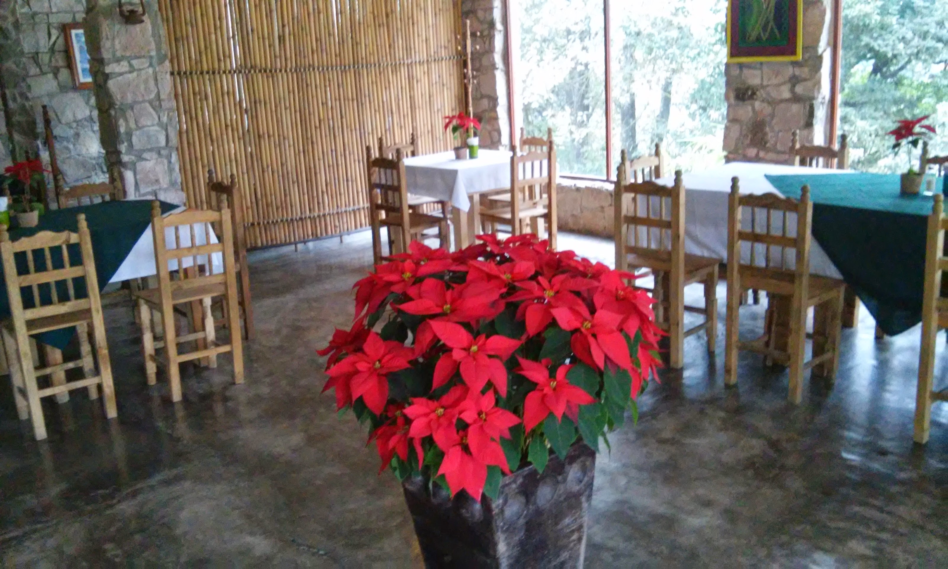 Restaurante Mis Amores image 7