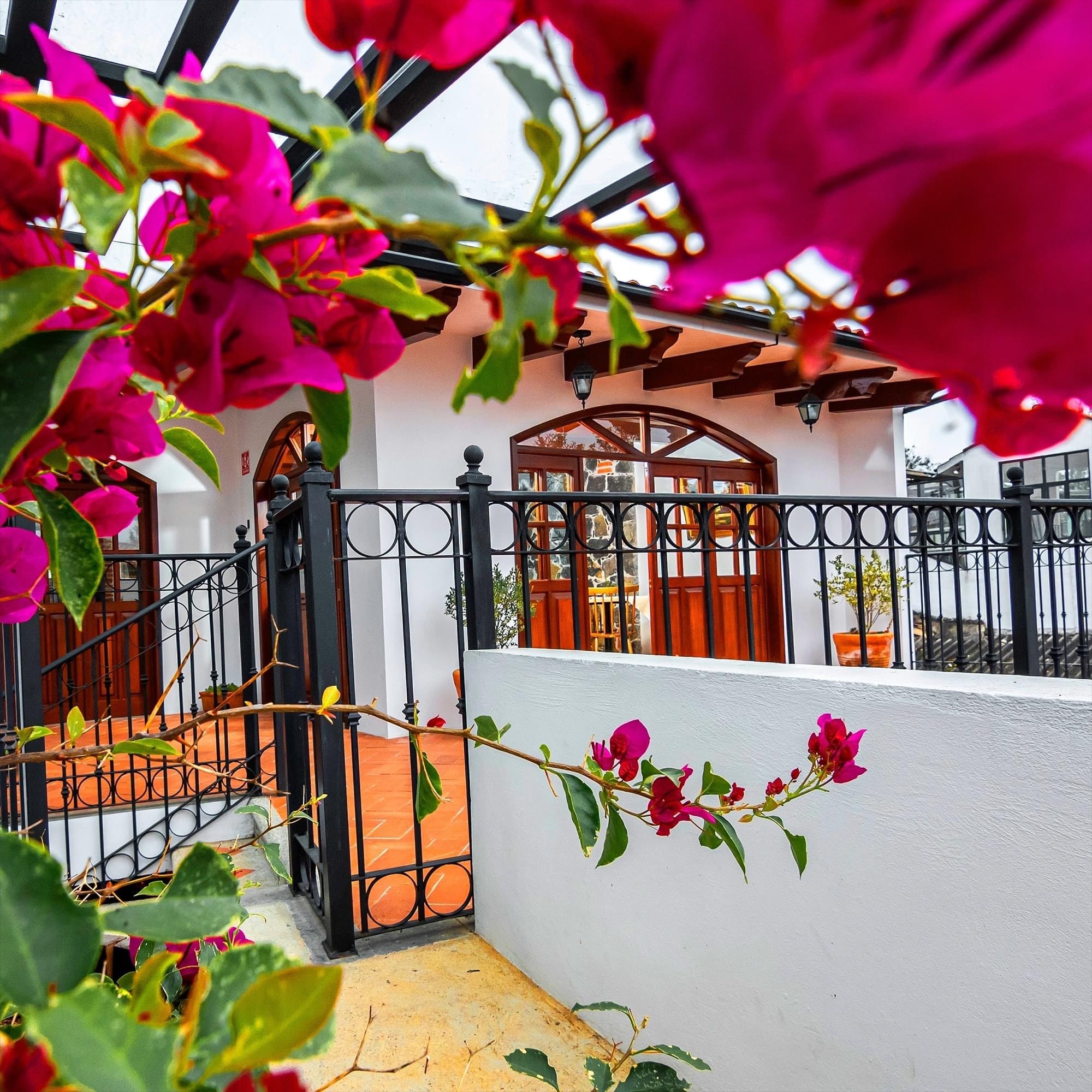 Leonila restaurante image 6