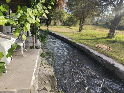 Oasis Restaurant image 7