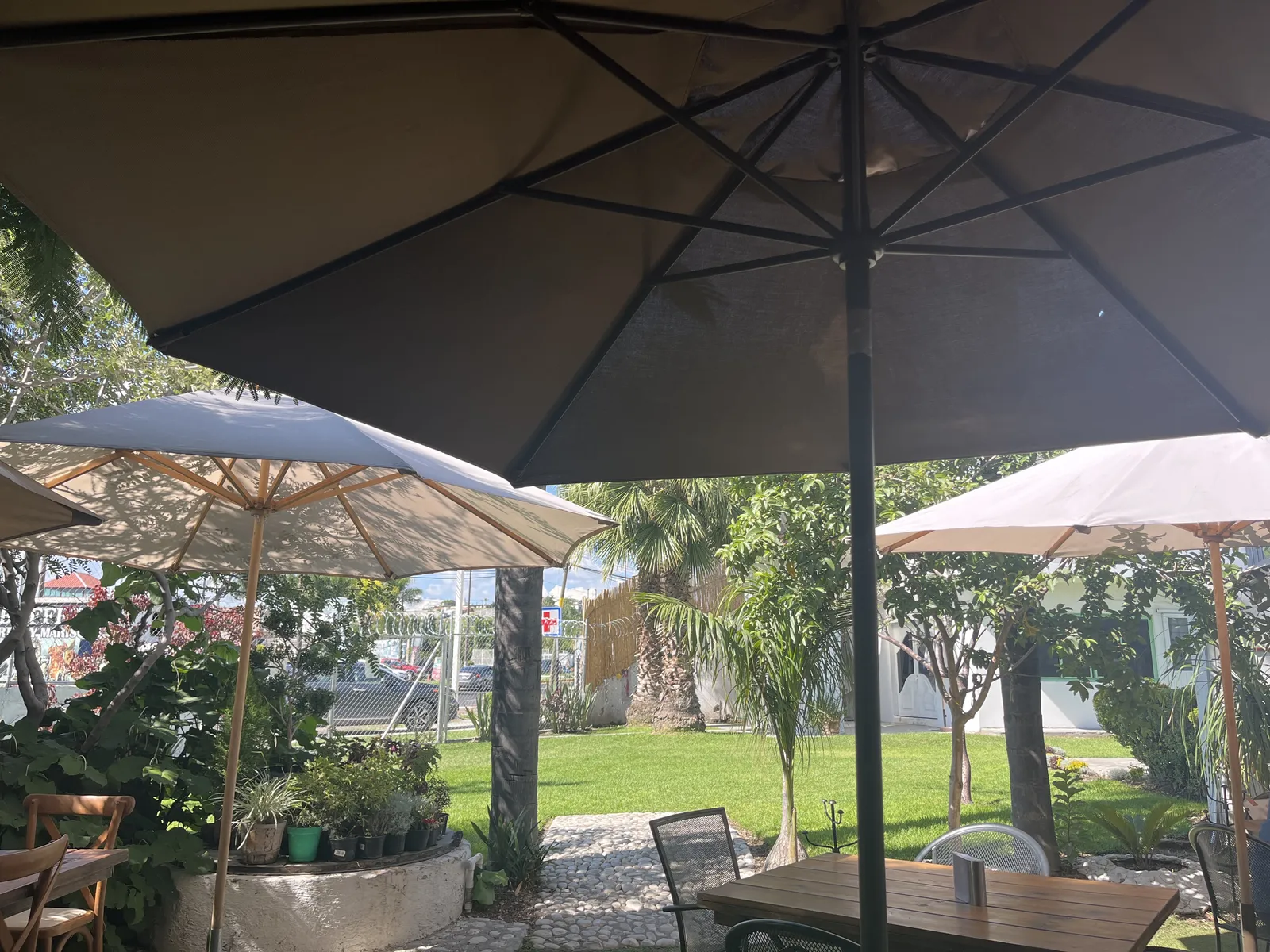 ARGO Restaurante image 4