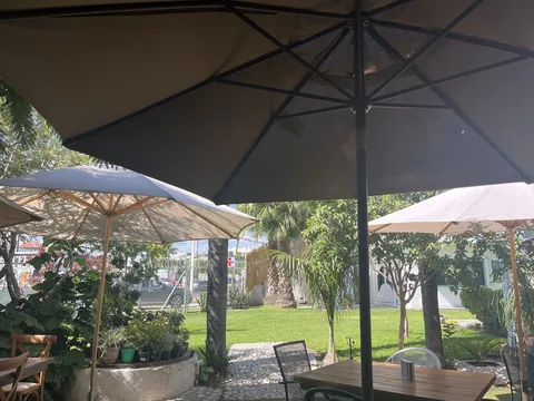 ARGO Restaurante image 4