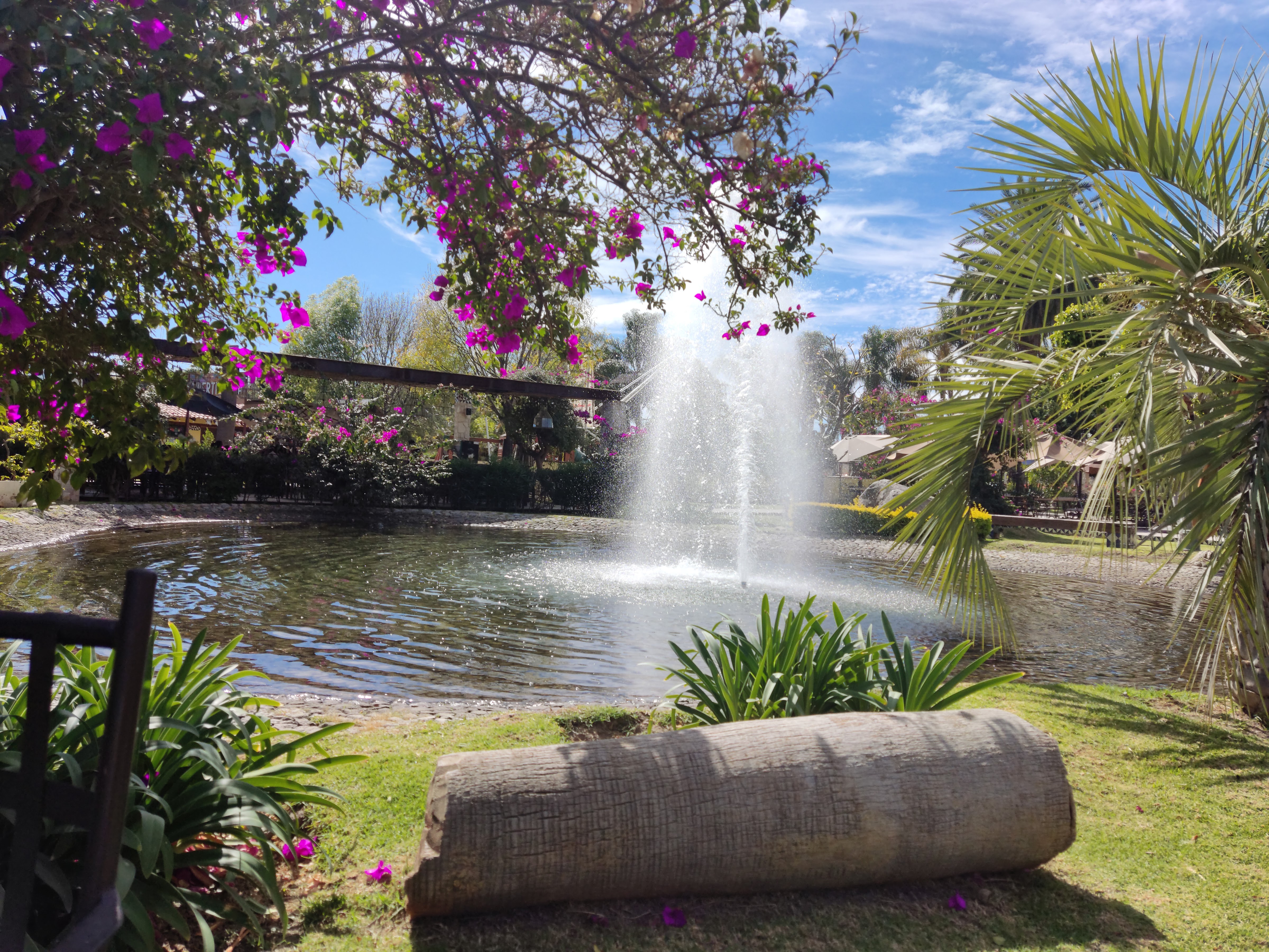 Restaurante Palmira Atlixco image 3