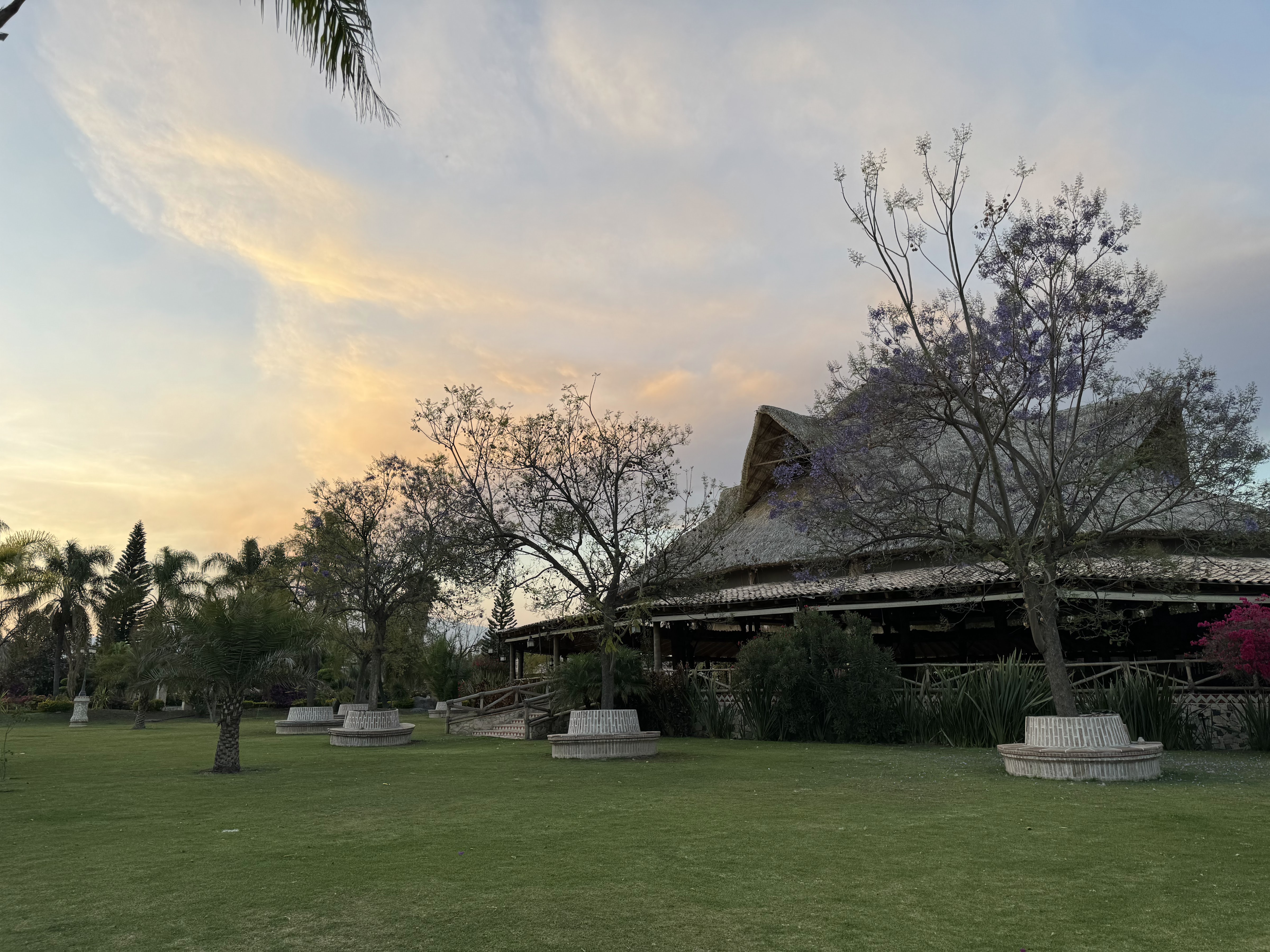 Restaurante Palmira Atlixco image 4