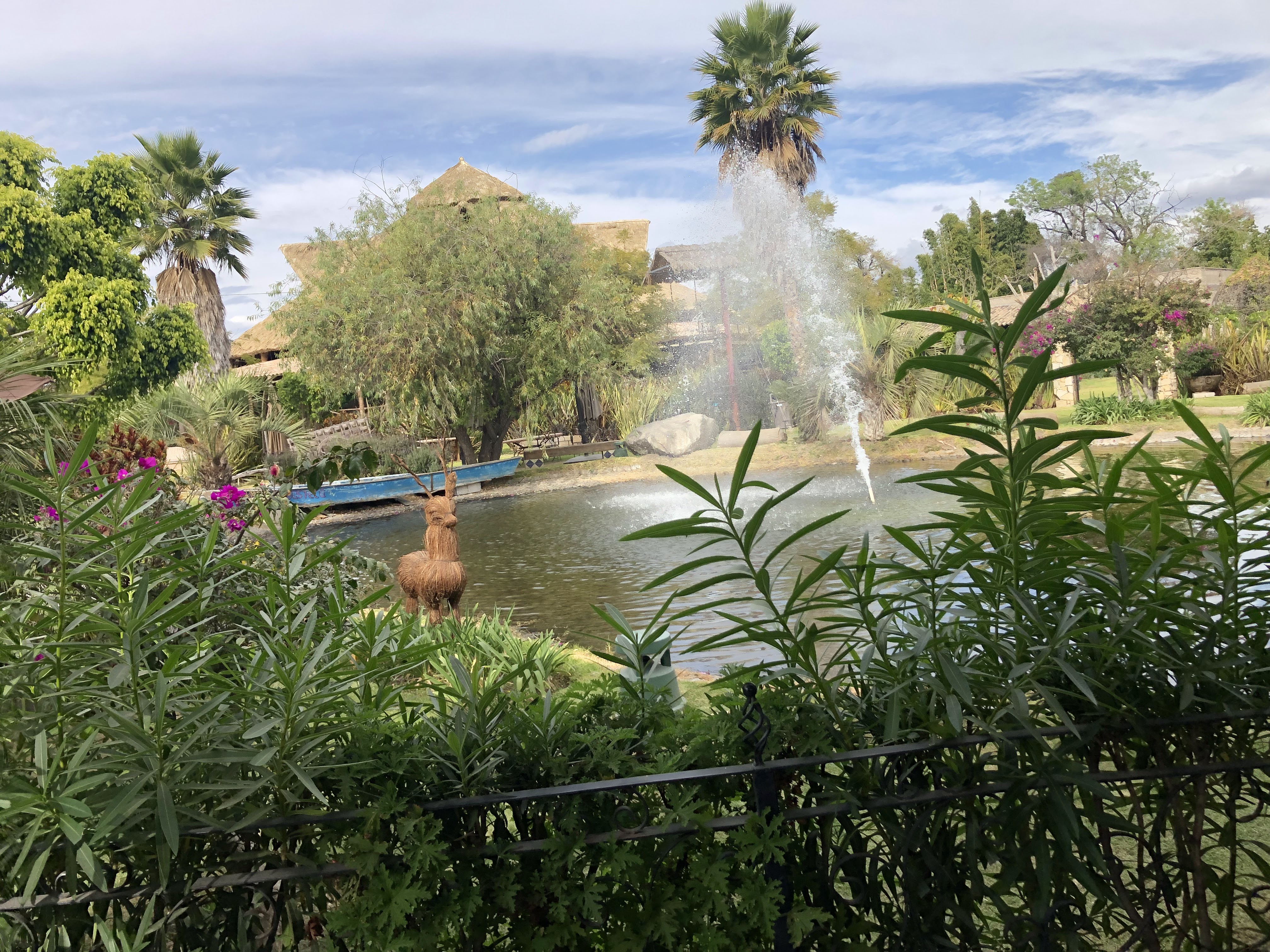 Restaurante Palmira Atlixco image 10