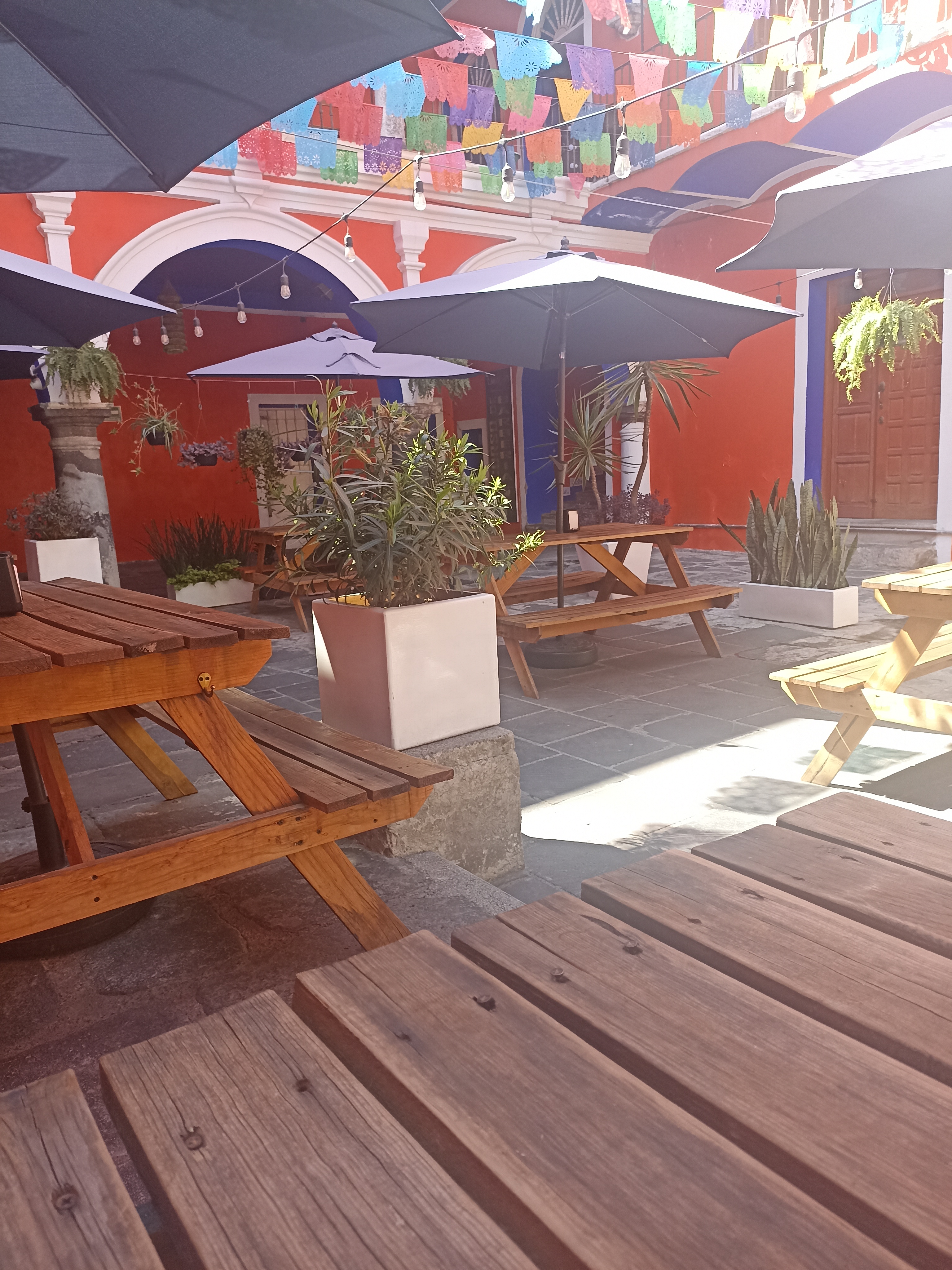 Restaurante Enchiladas Lolita en Atlixco Centro image 4