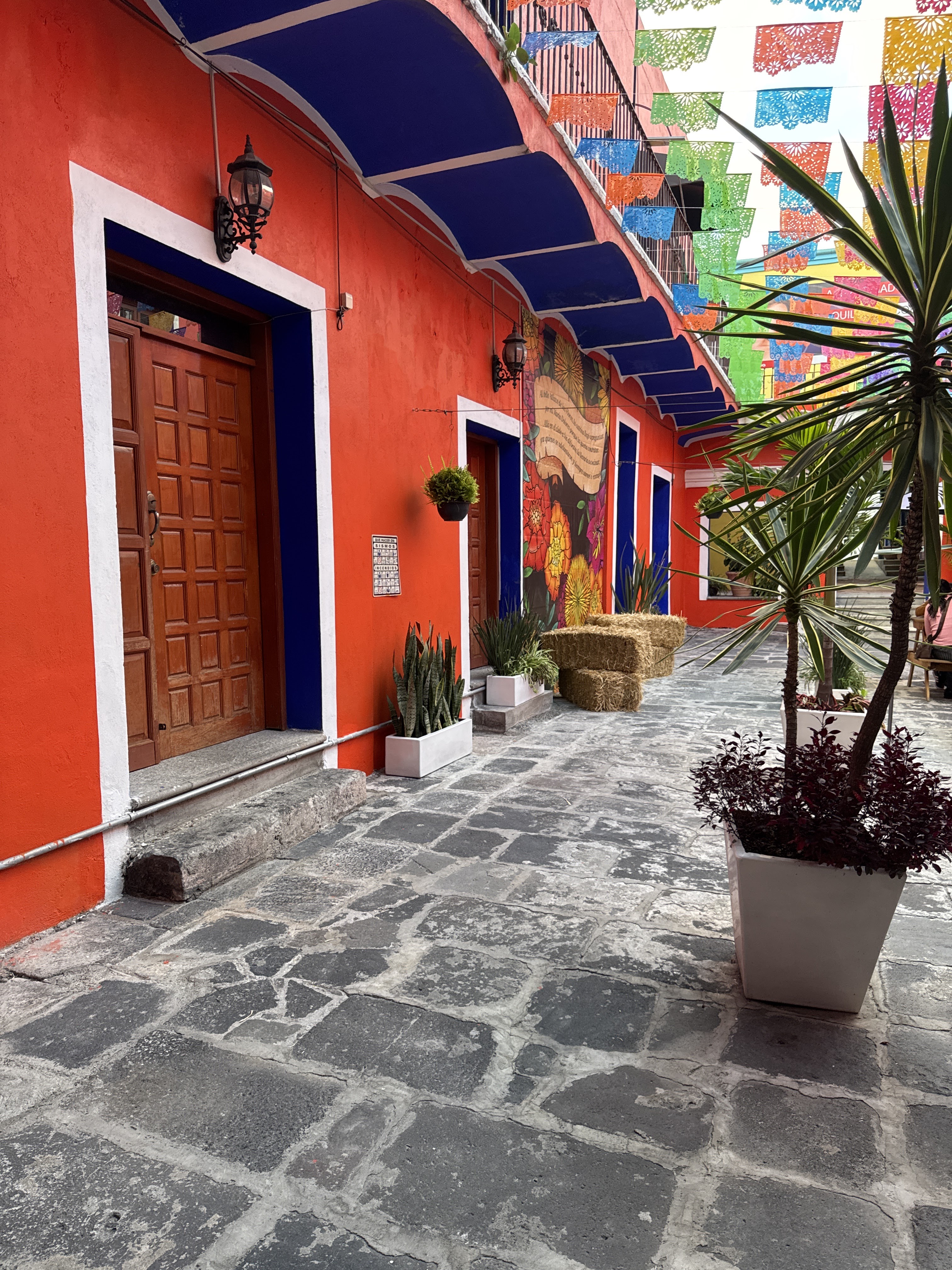 Restaurante Enchiladas Lolita en Atlixco Centro image 9