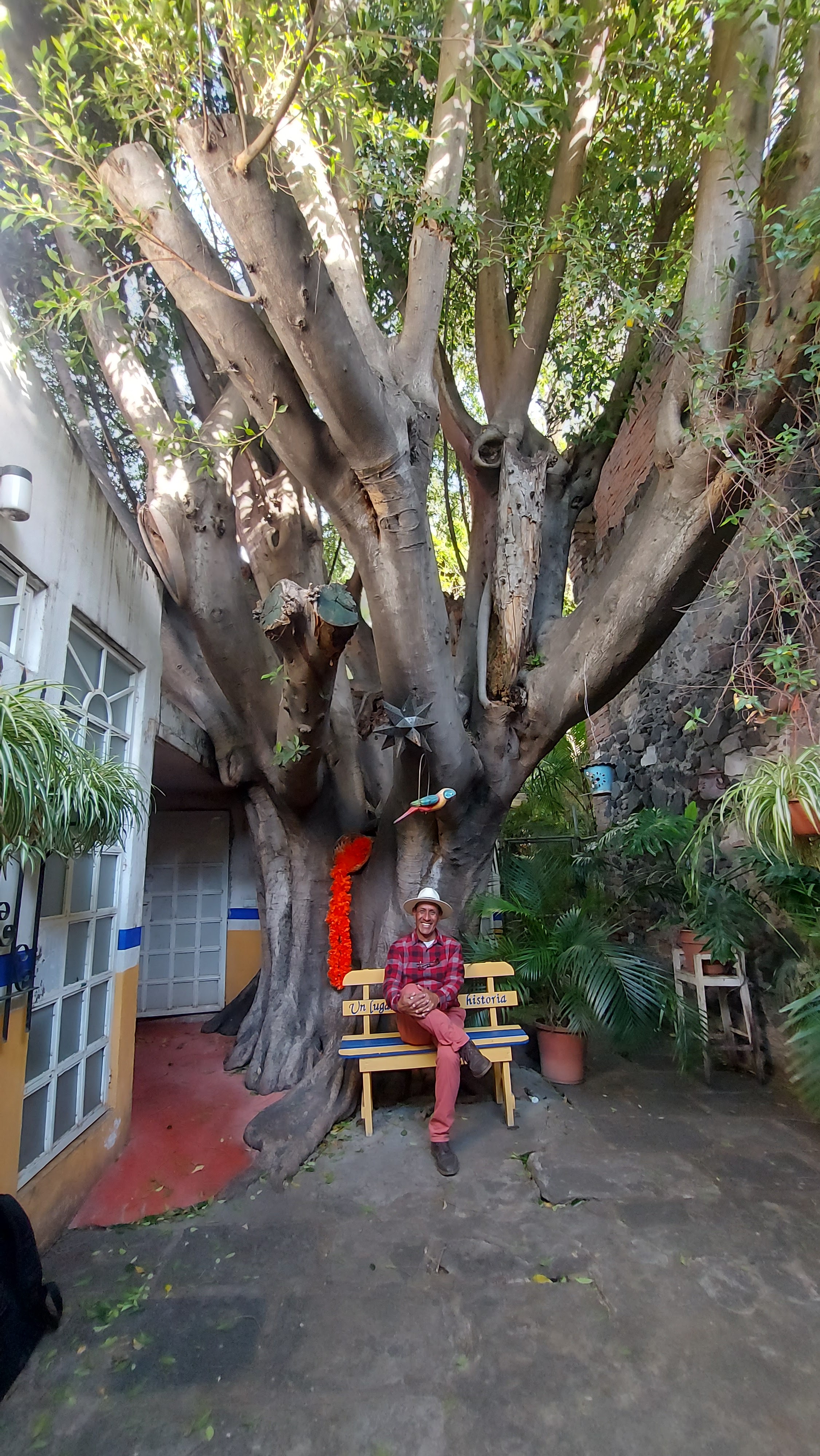 Restaurant La Capilla image 4