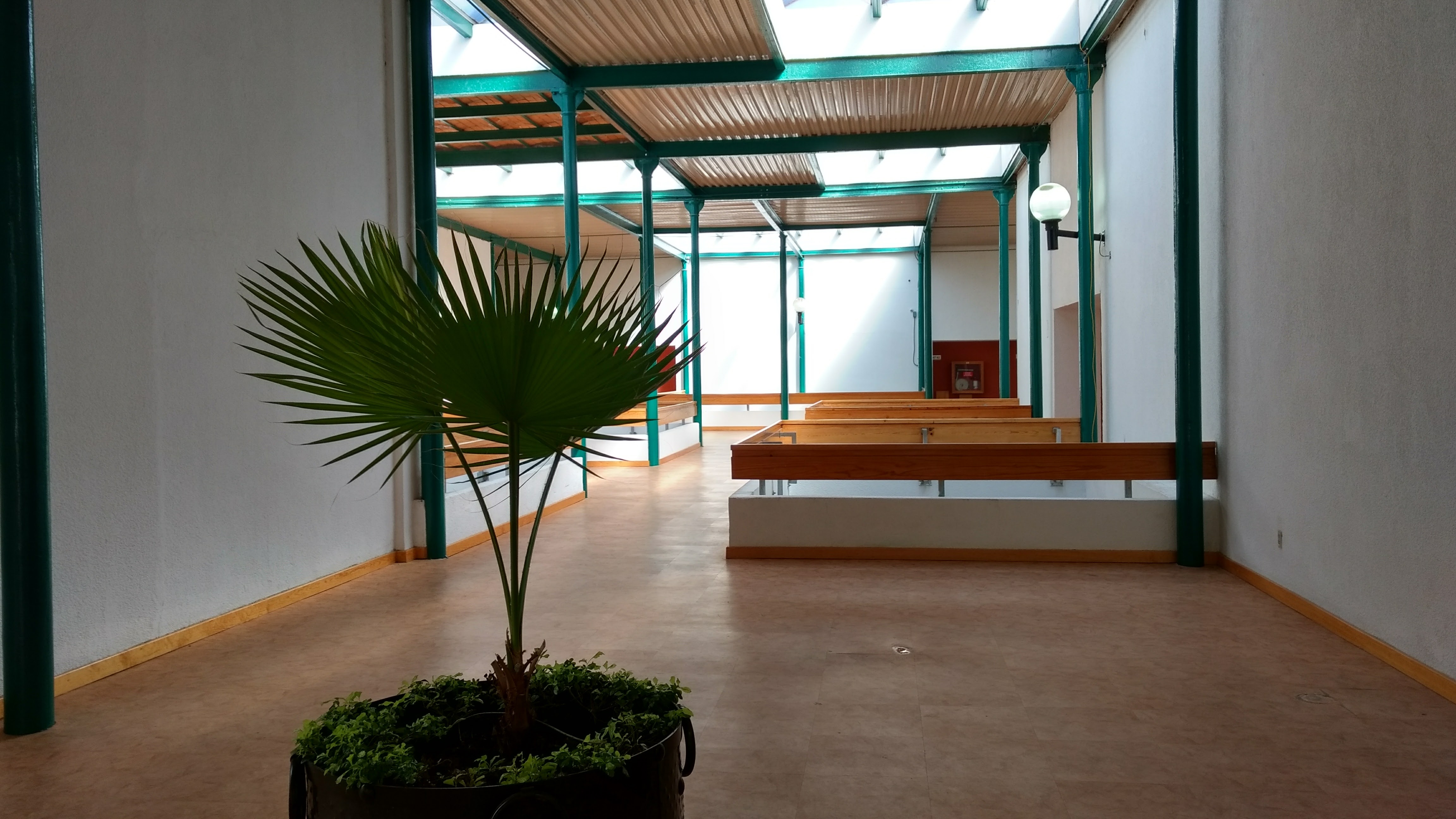 Restaurant Cafetería los Ángeles image 4