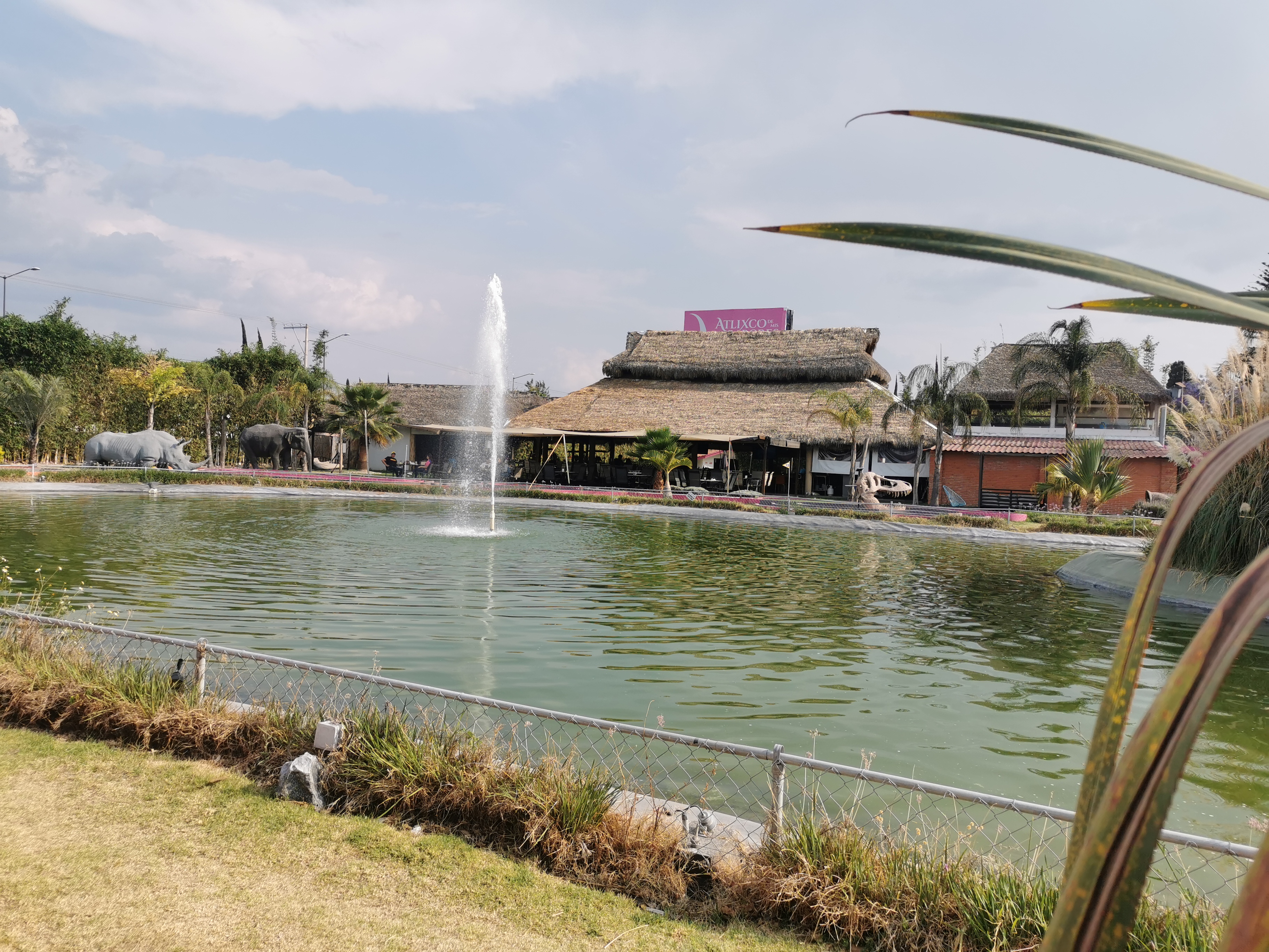 Restaurante Atlixco de mis Sabores image 9