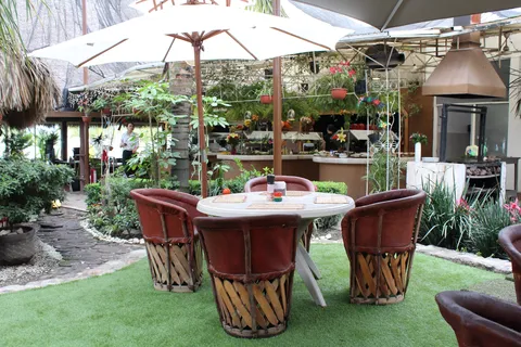 La Palapa image 1