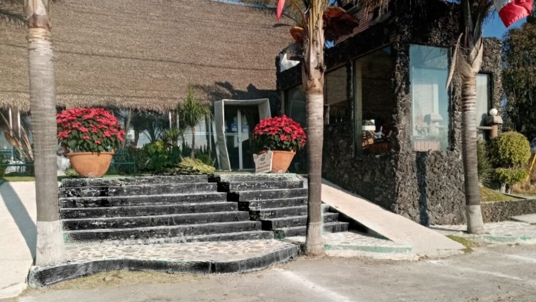 La Palapa image 3