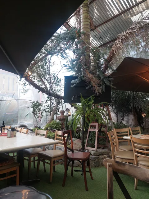 La Palapa image 5