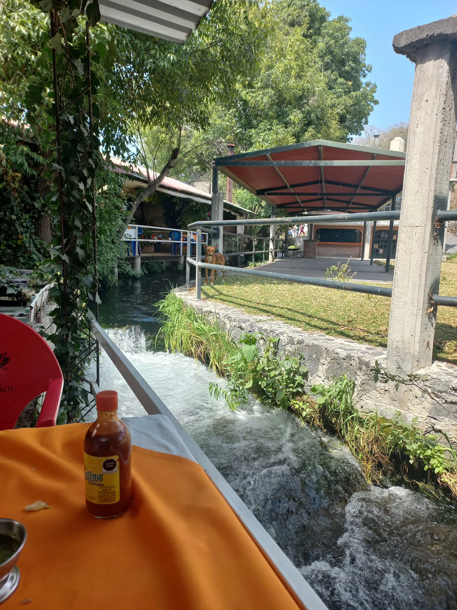 Restaurant "El Patio" image 4
