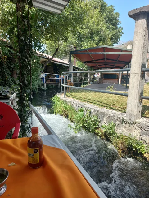 Restaurant "El Patio" image 4