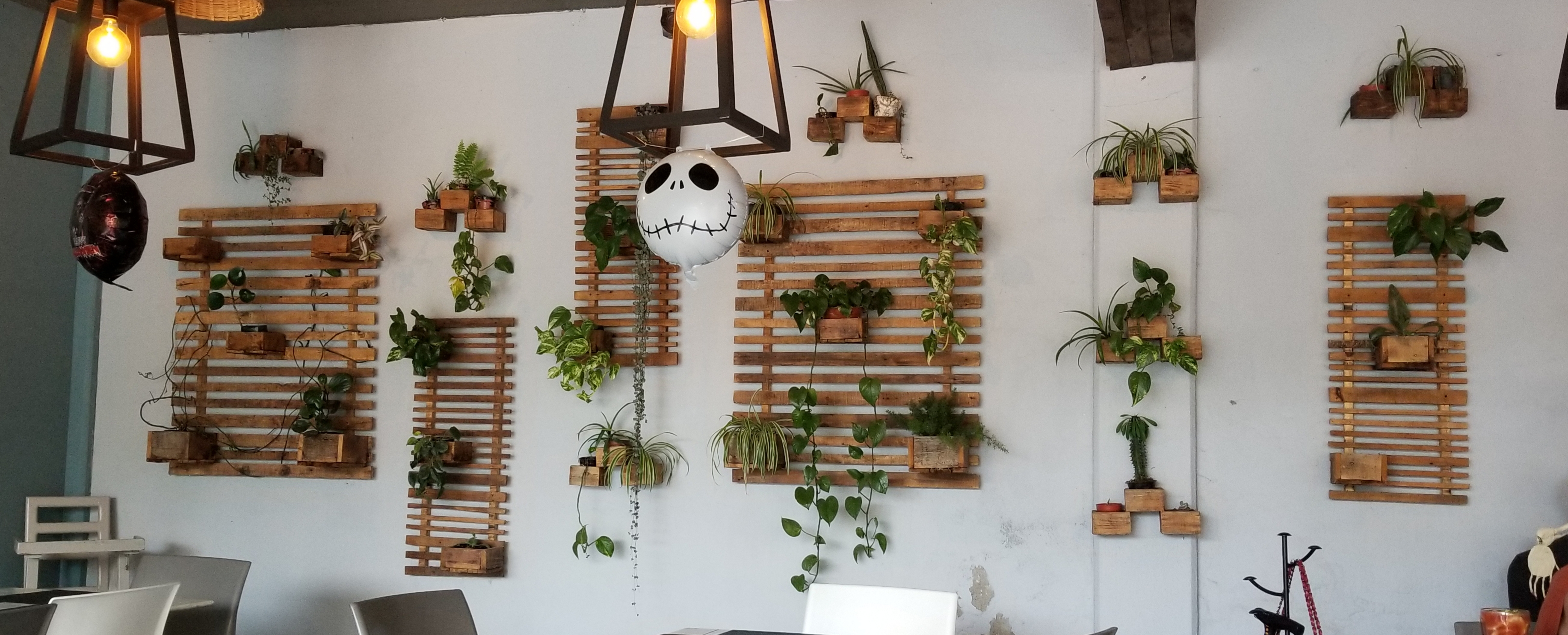 Restaurante Fish Taco and Beer Atlixco Centro image 4