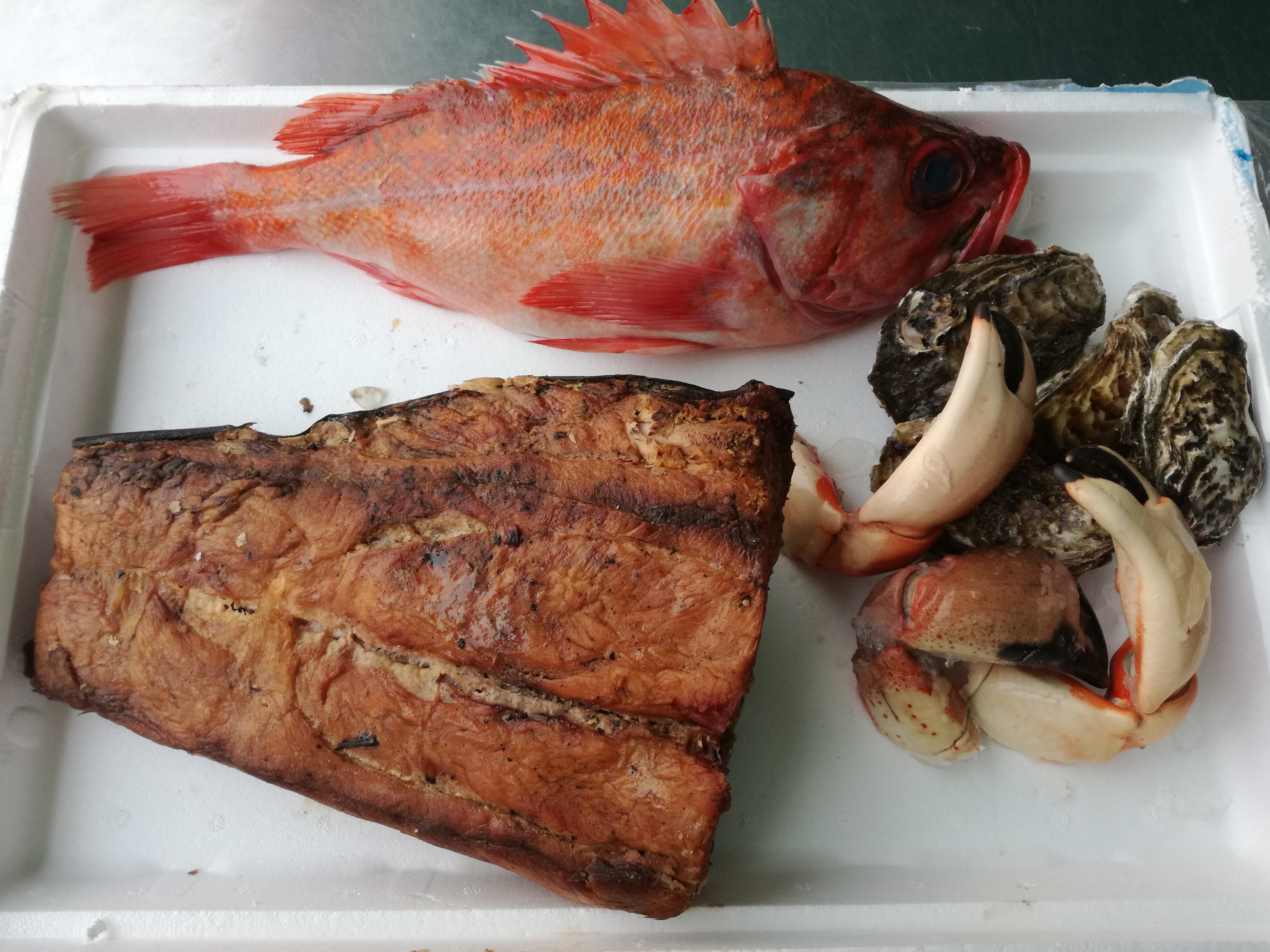 Restaurante Fish Taco and Beer Atlixco Centro image 9