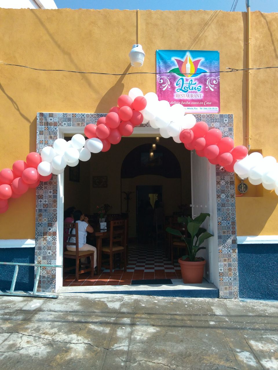 Lotus restaurante image 2