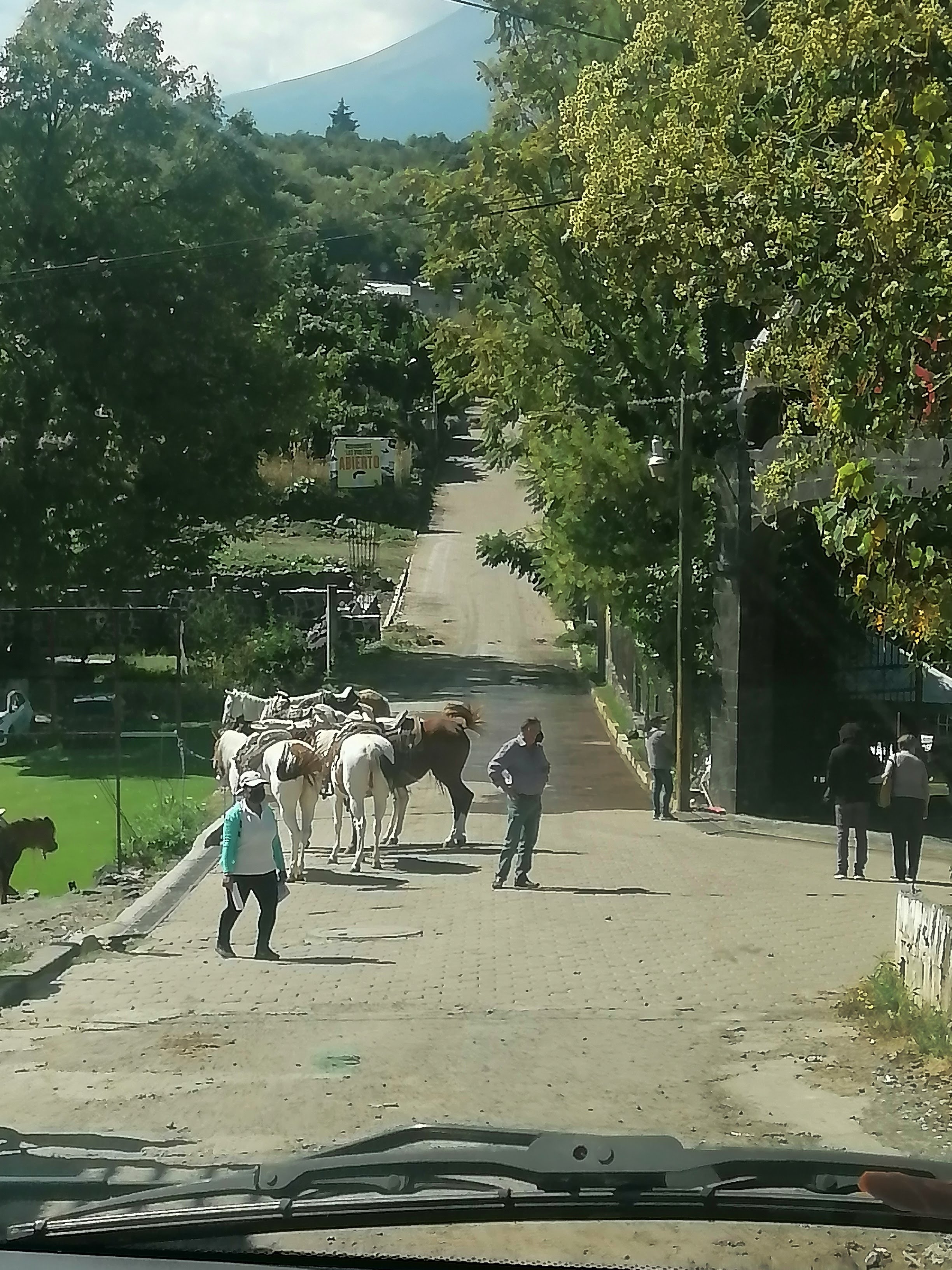 Pizzeria sicilian image 3