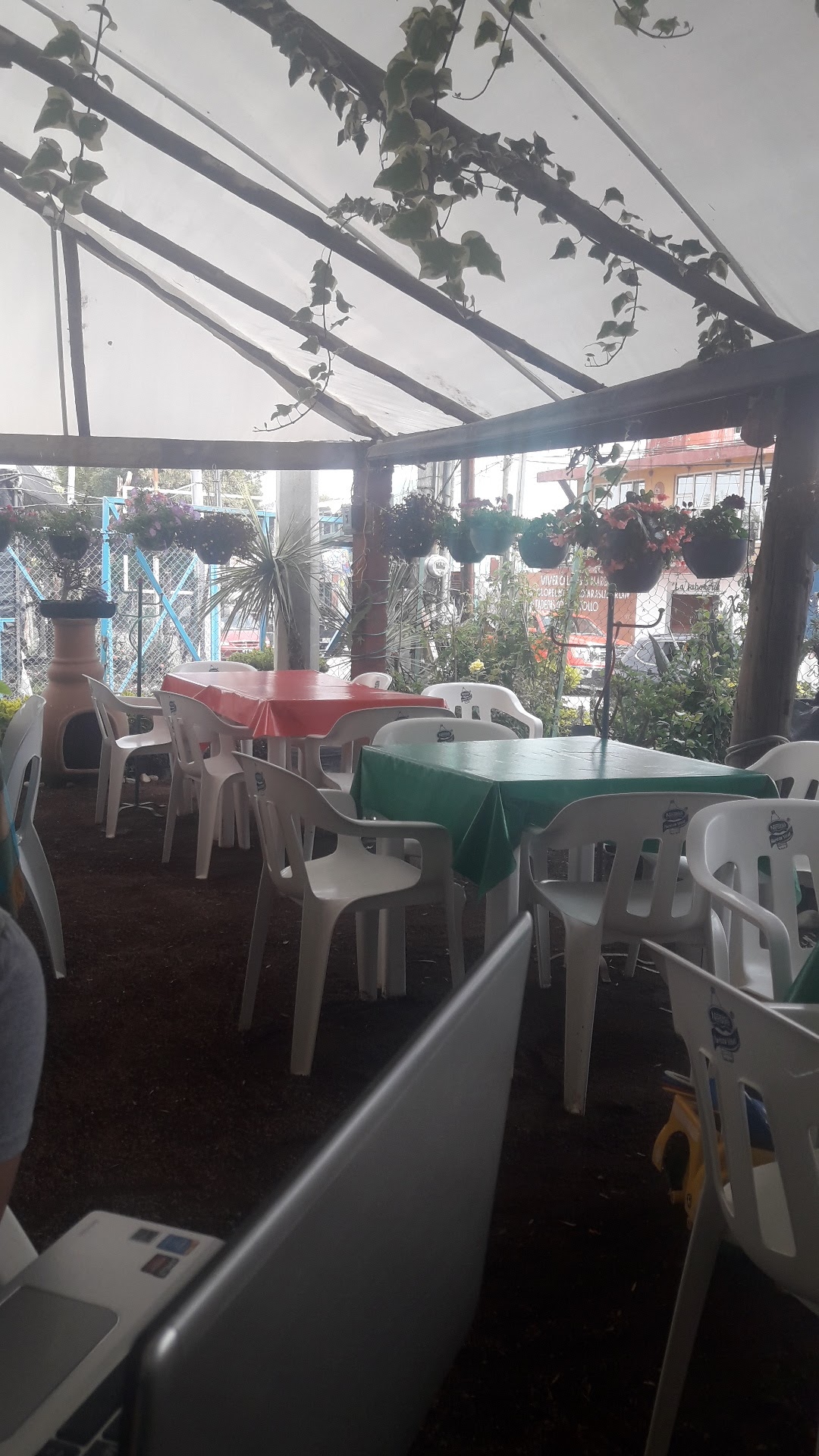 Las Mojarras image 6