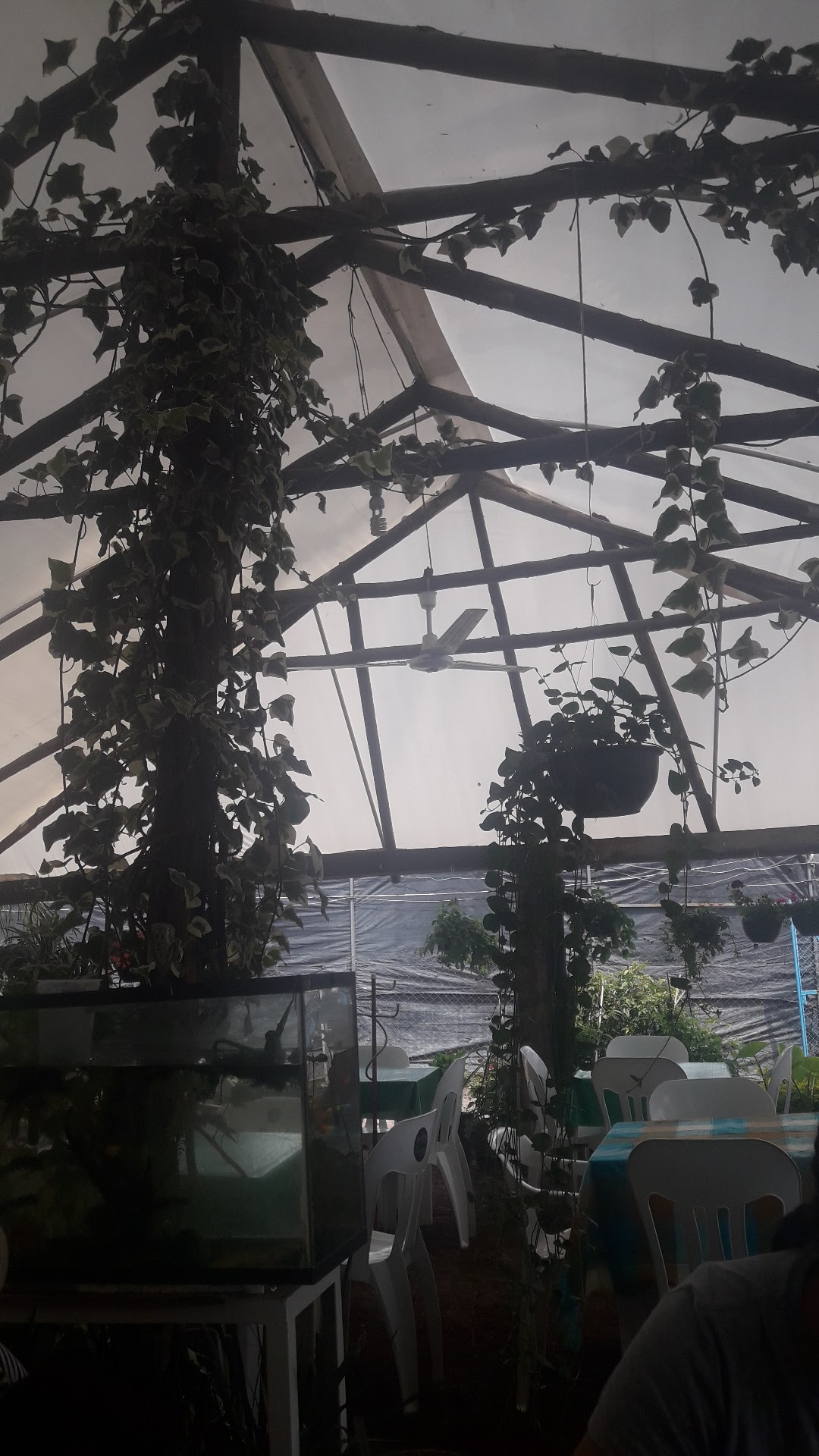 Las Mojarras image 8