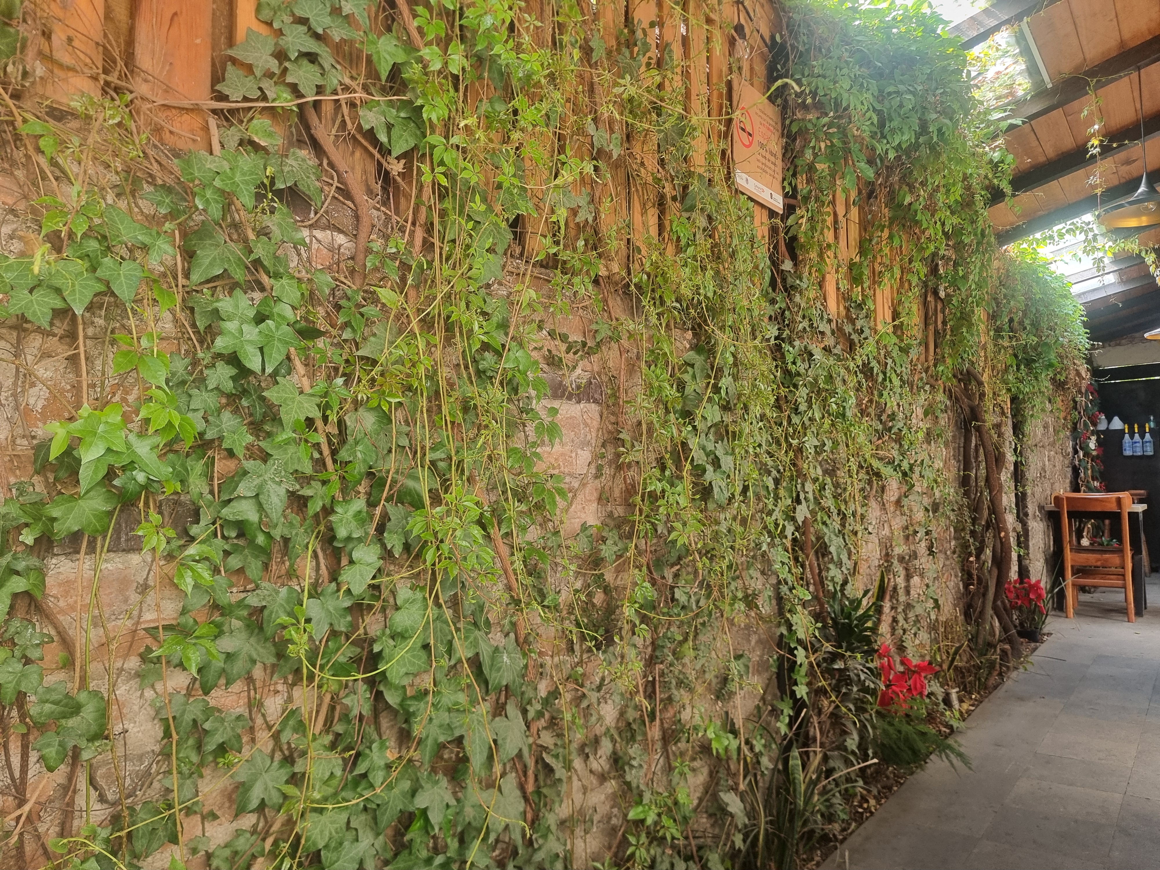 Esencia Restaurante image 3